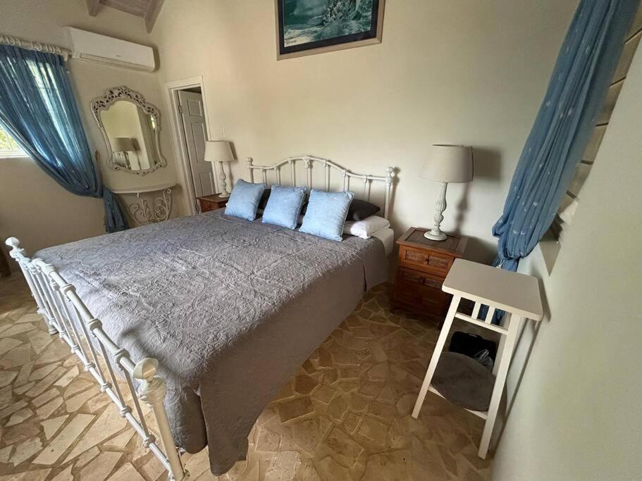 Larimar 6 Bed 6 bath Luxury Ocean Front Villa