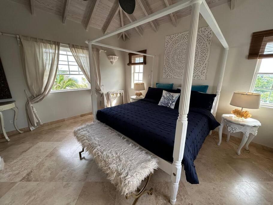 Larimar 6 Bed 6 bath Luxury Ocean Front Villa