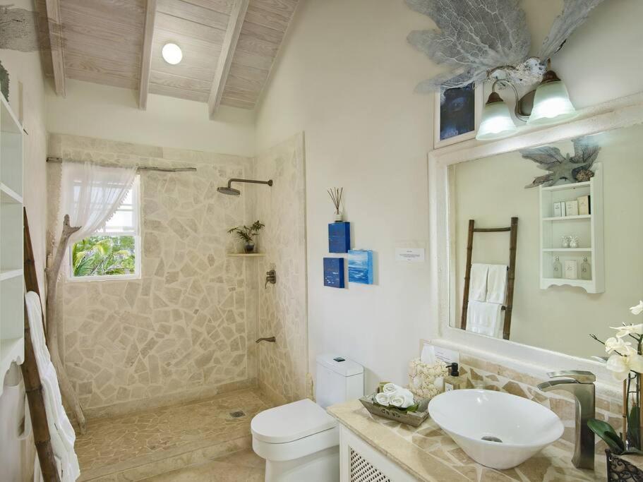 Larimar 6 Bed 6 bath Luxury Ocean Front Villa