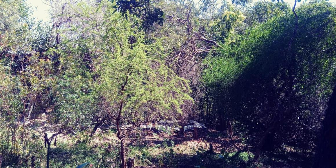 La comarca Eco-casa