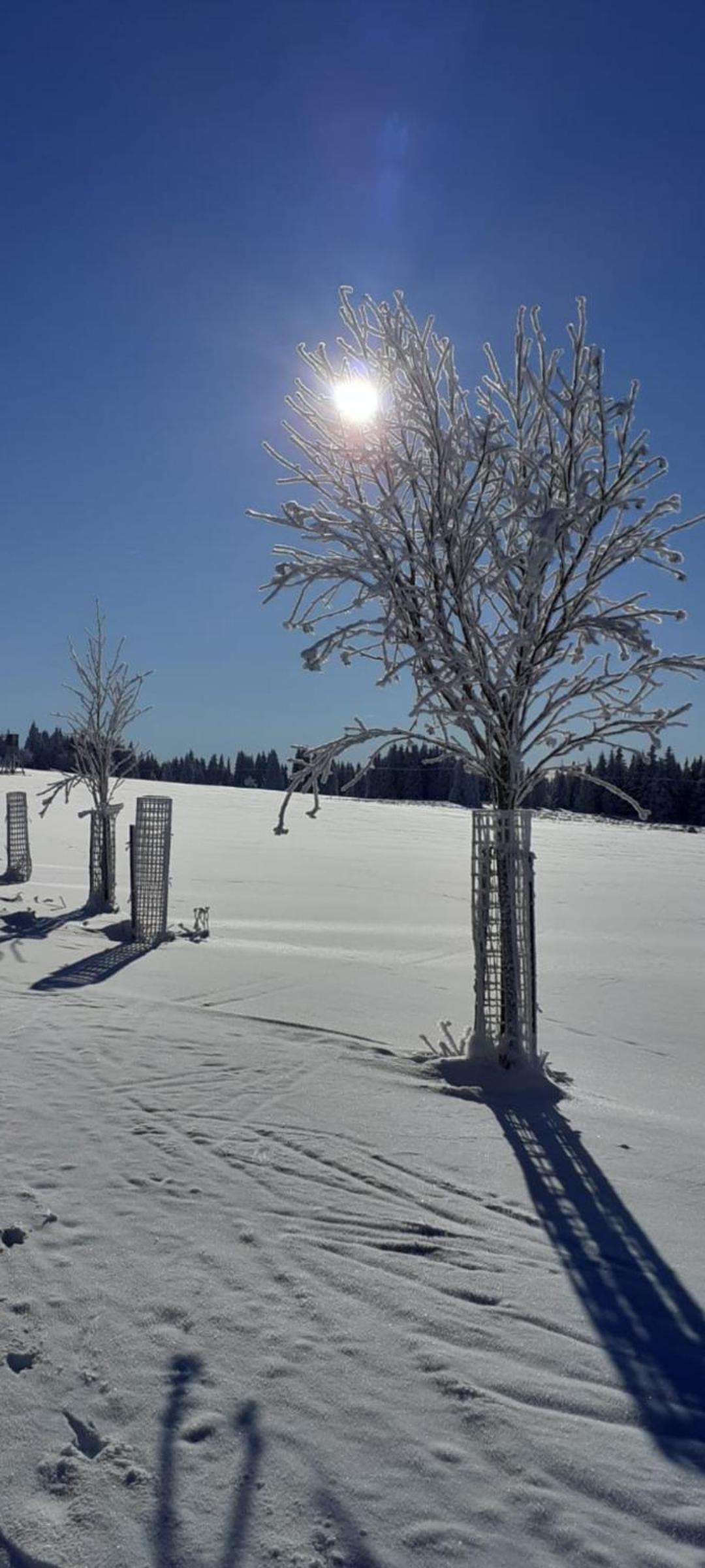 Restaurace a penzion Vlčí jáma