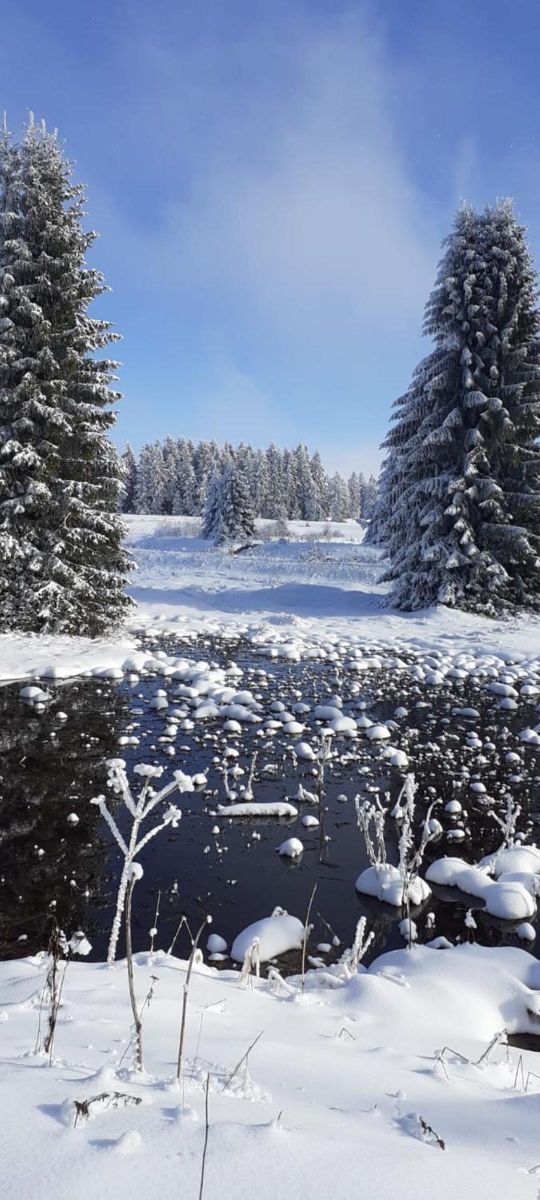 Restaurace a penzion Vlčí jáma