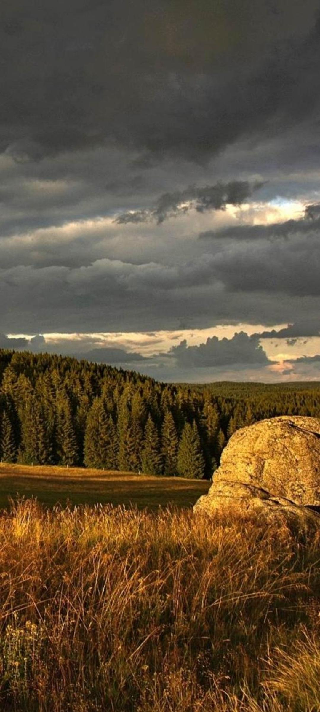 Restaurace a penzion Vlčí jáma