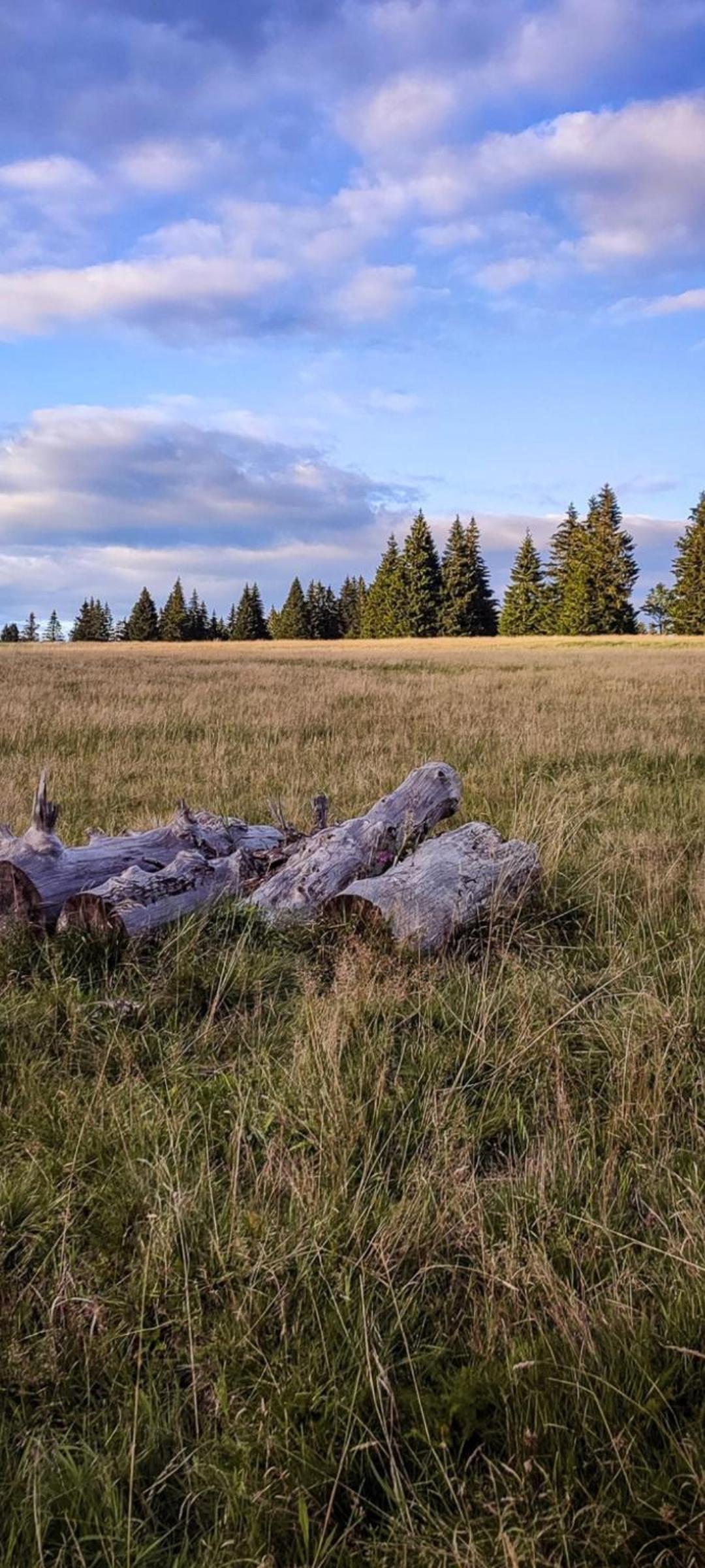 Restaurace a penzion Vlčí jáma