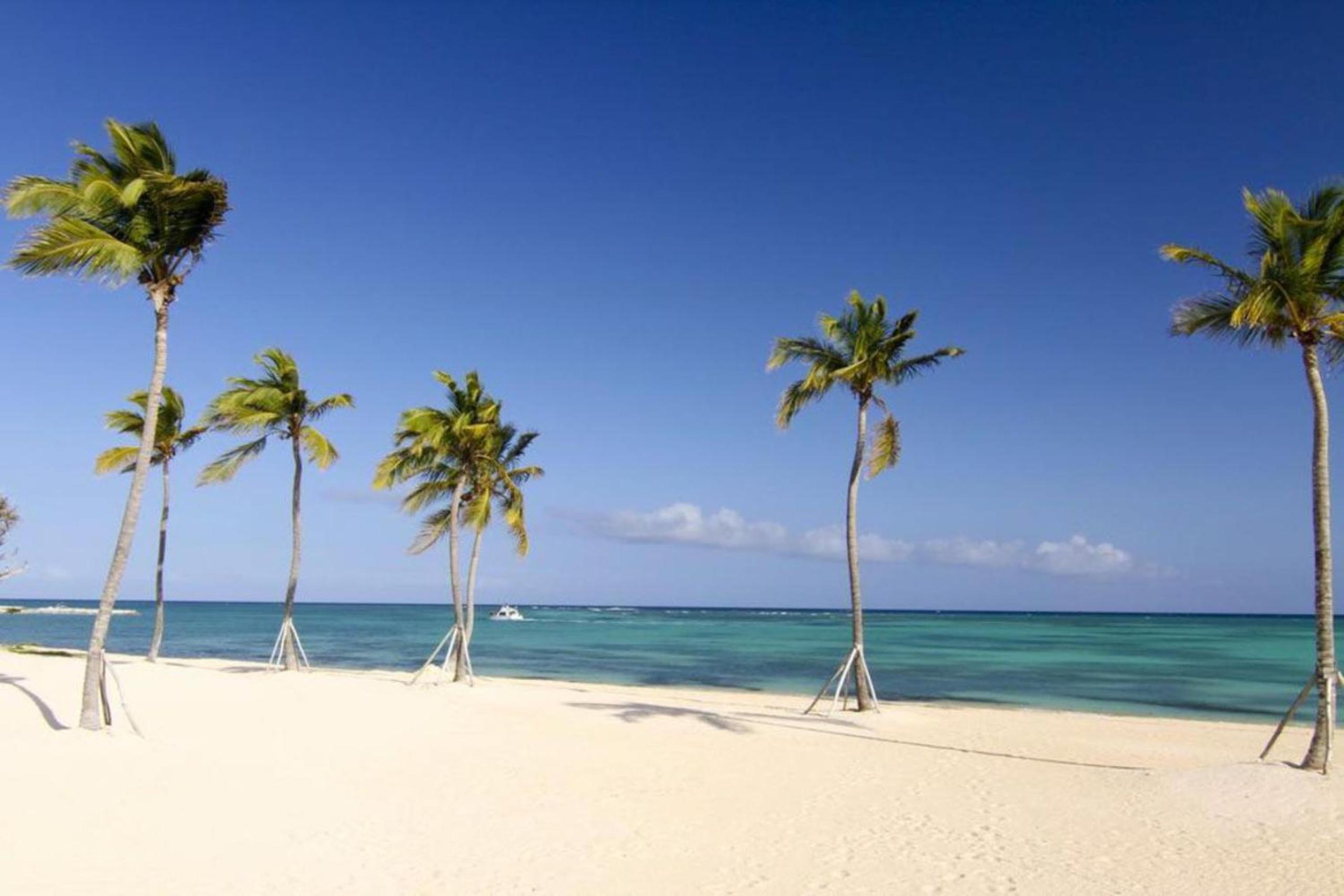 Apartment with 2BR and ocean view in Punta Palmera