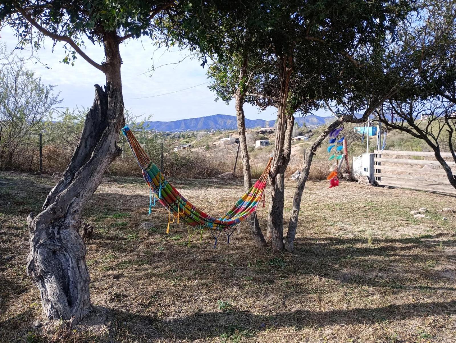 La Tacuarita