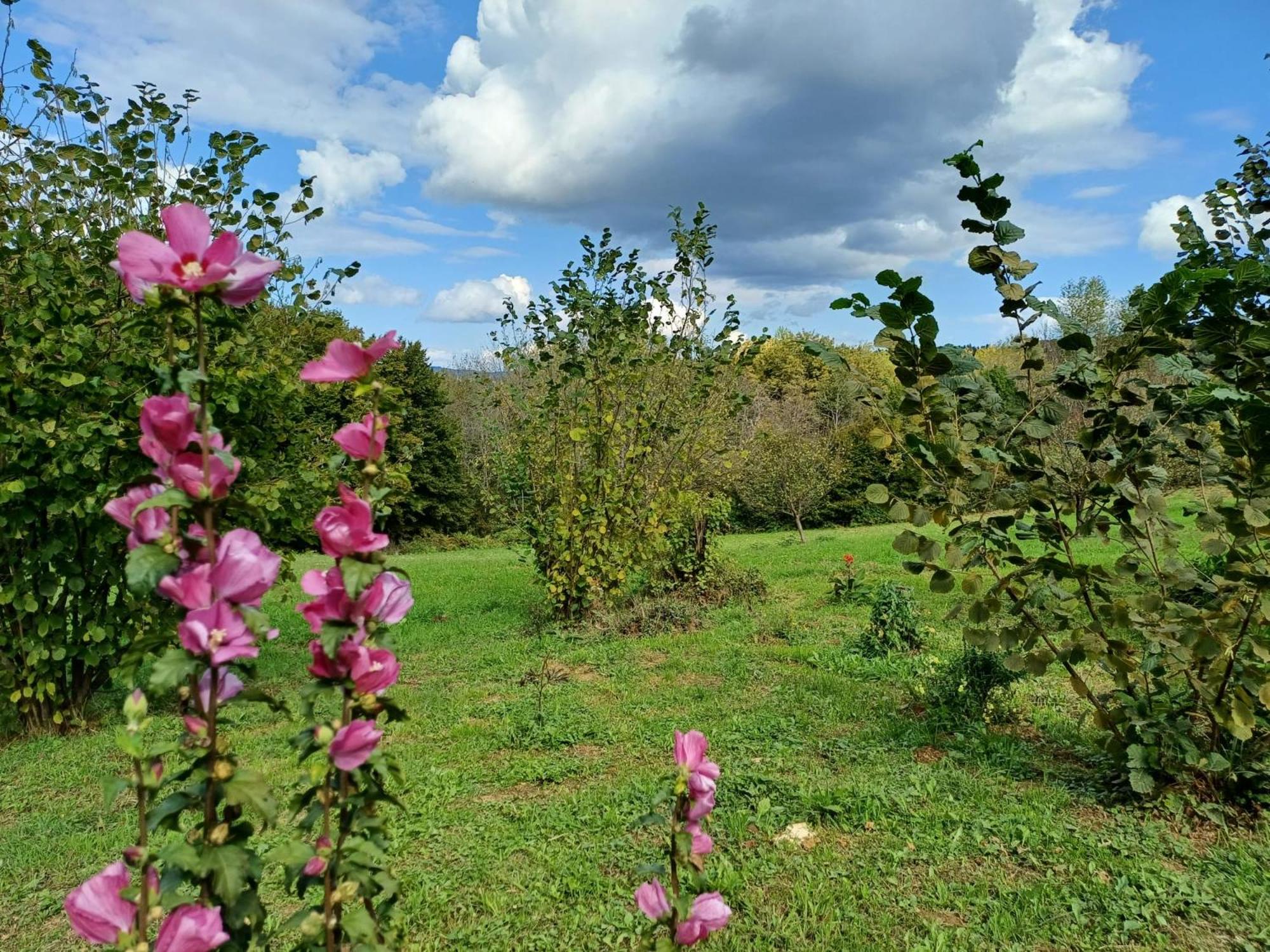 Photo 43