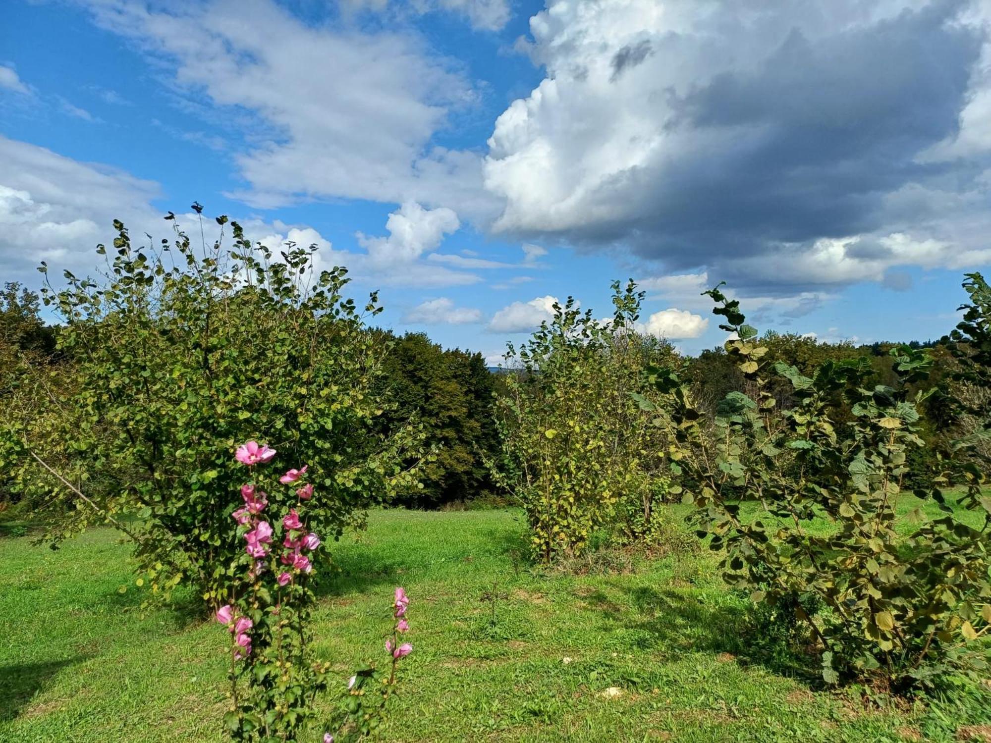 Photo 41