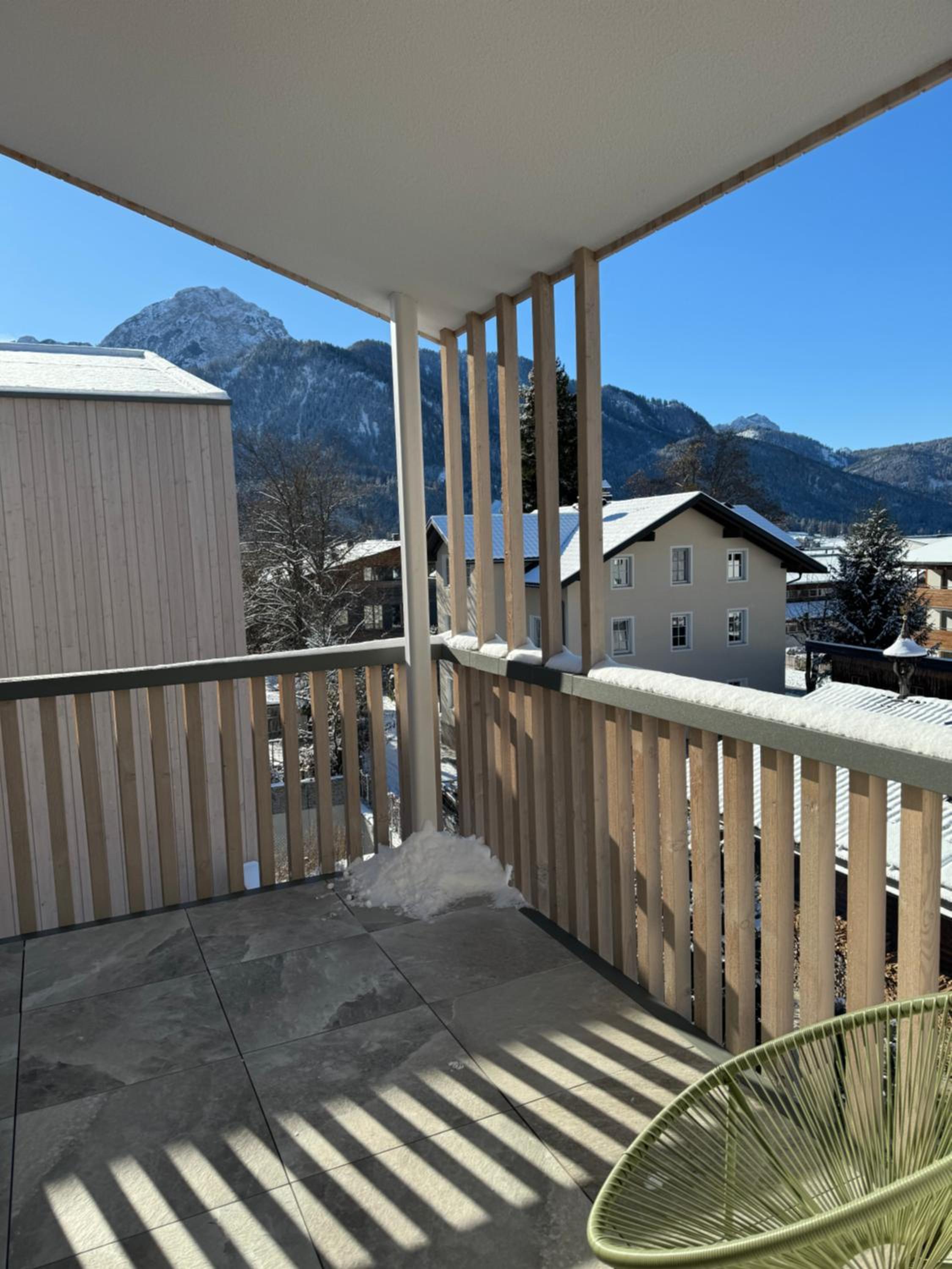 stella alpina photo 3