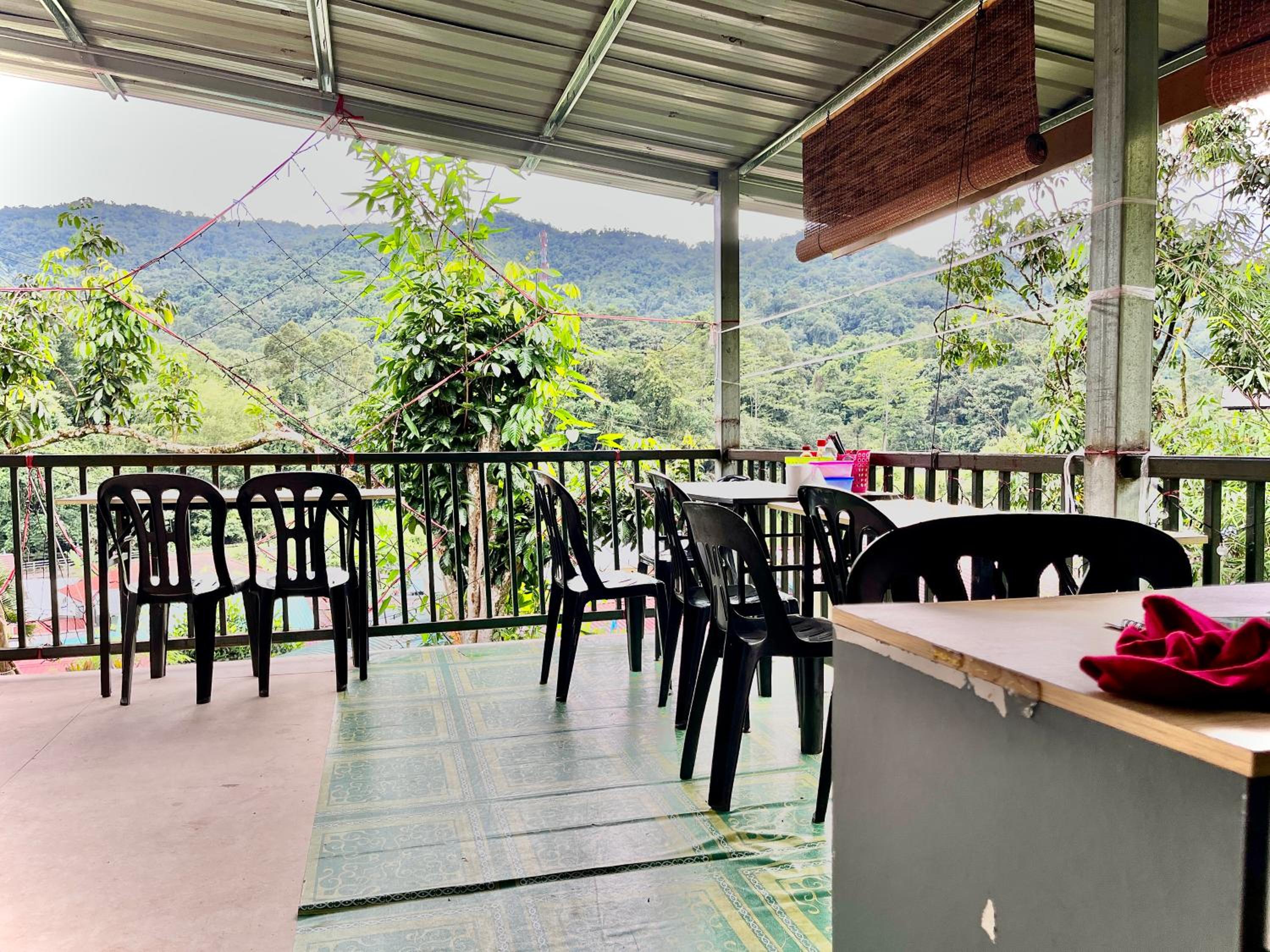 The Bacpackers Resort