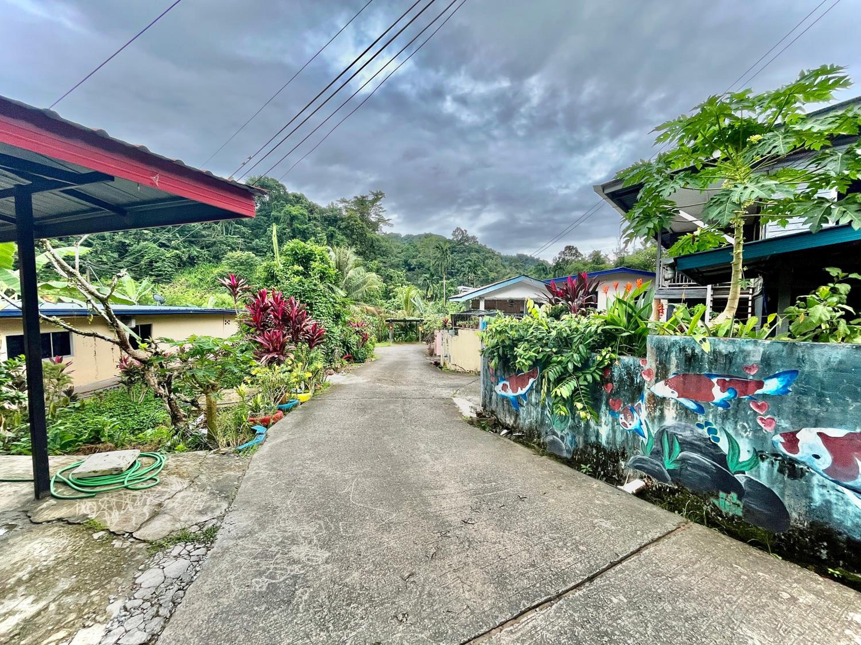 The Bacpackers Resort