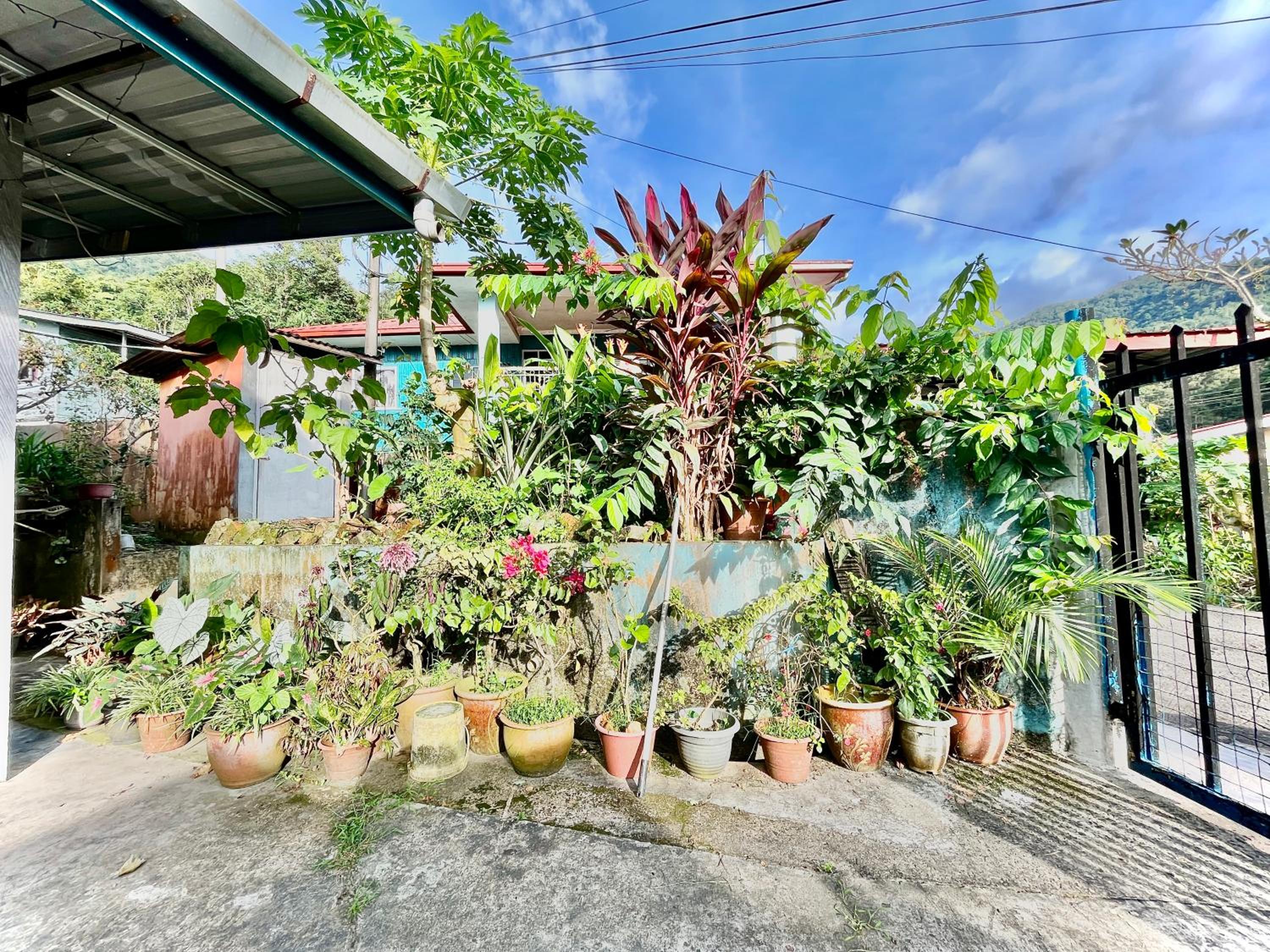 The Bacpackers Resort