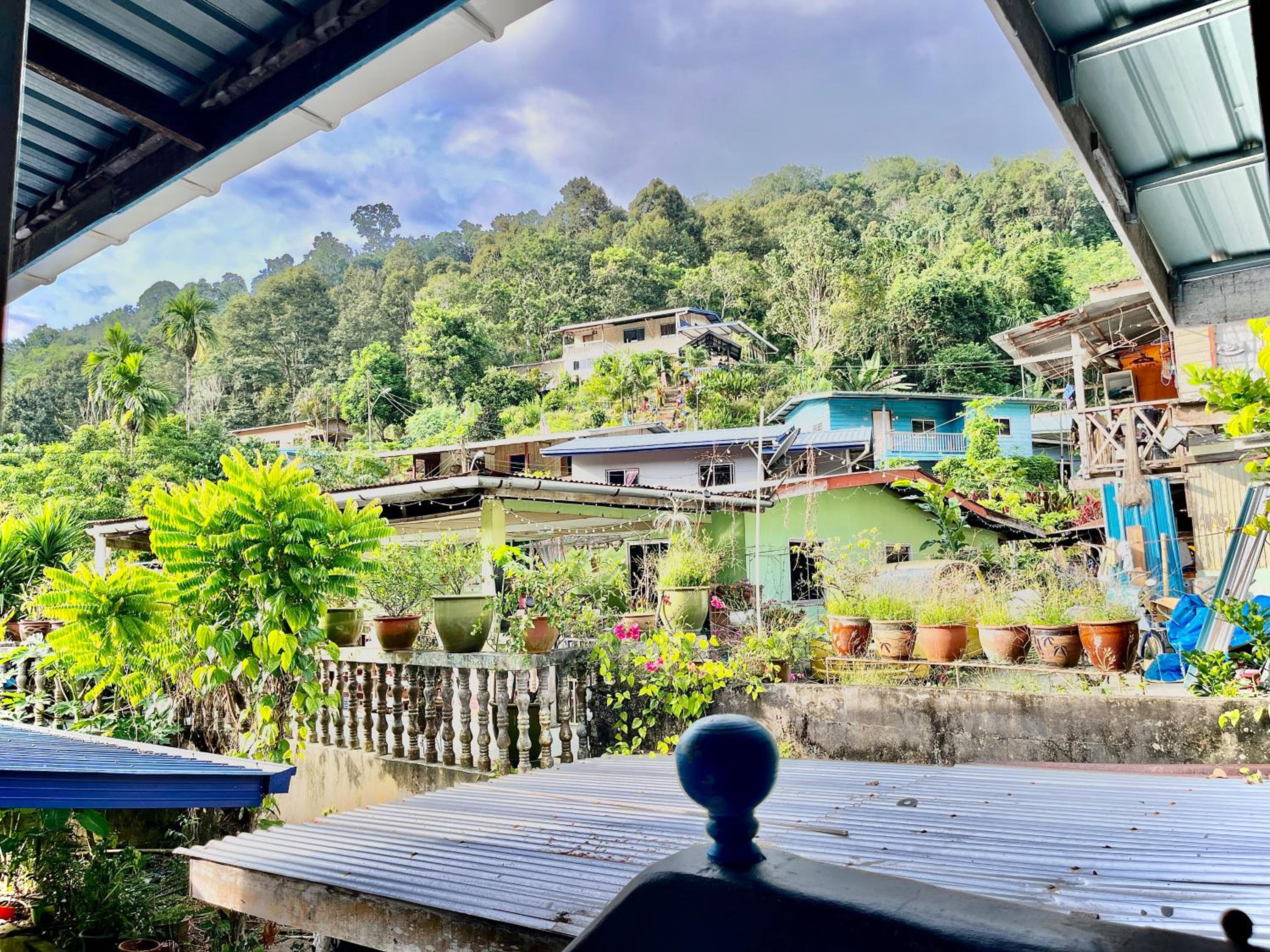 The Bacpackers Resort