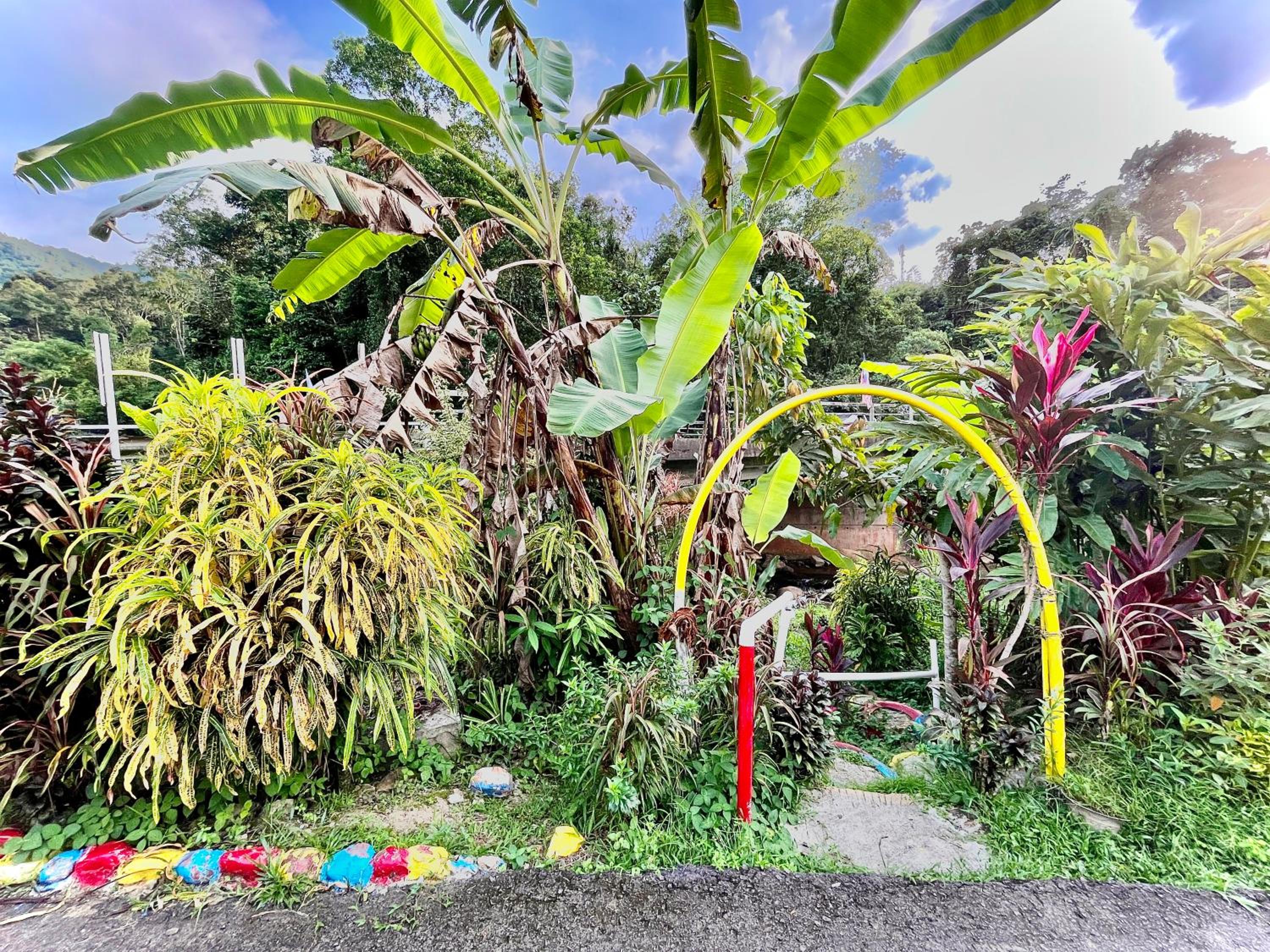 The Bacpackers Resort