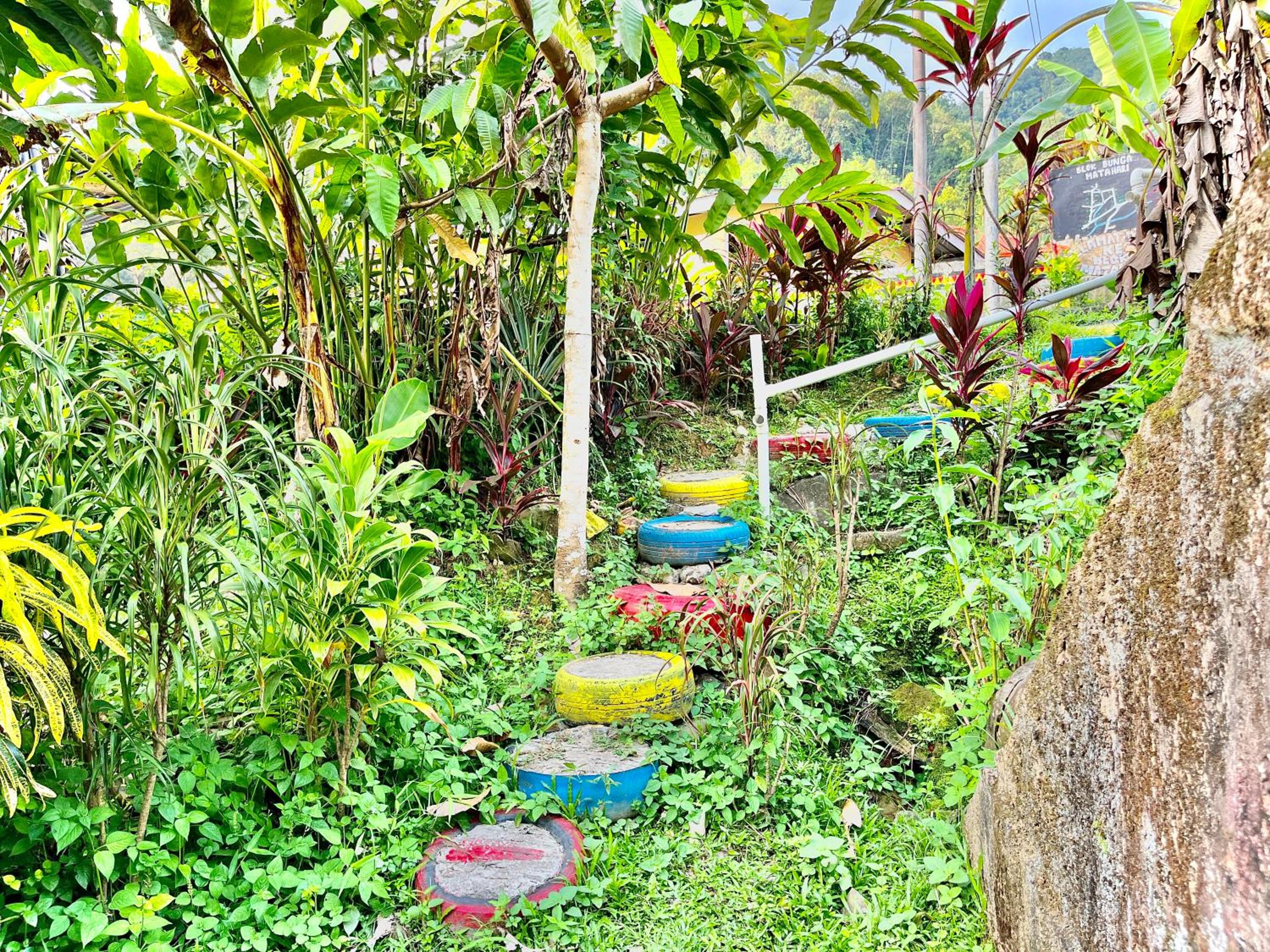 The Bacpackers Resort