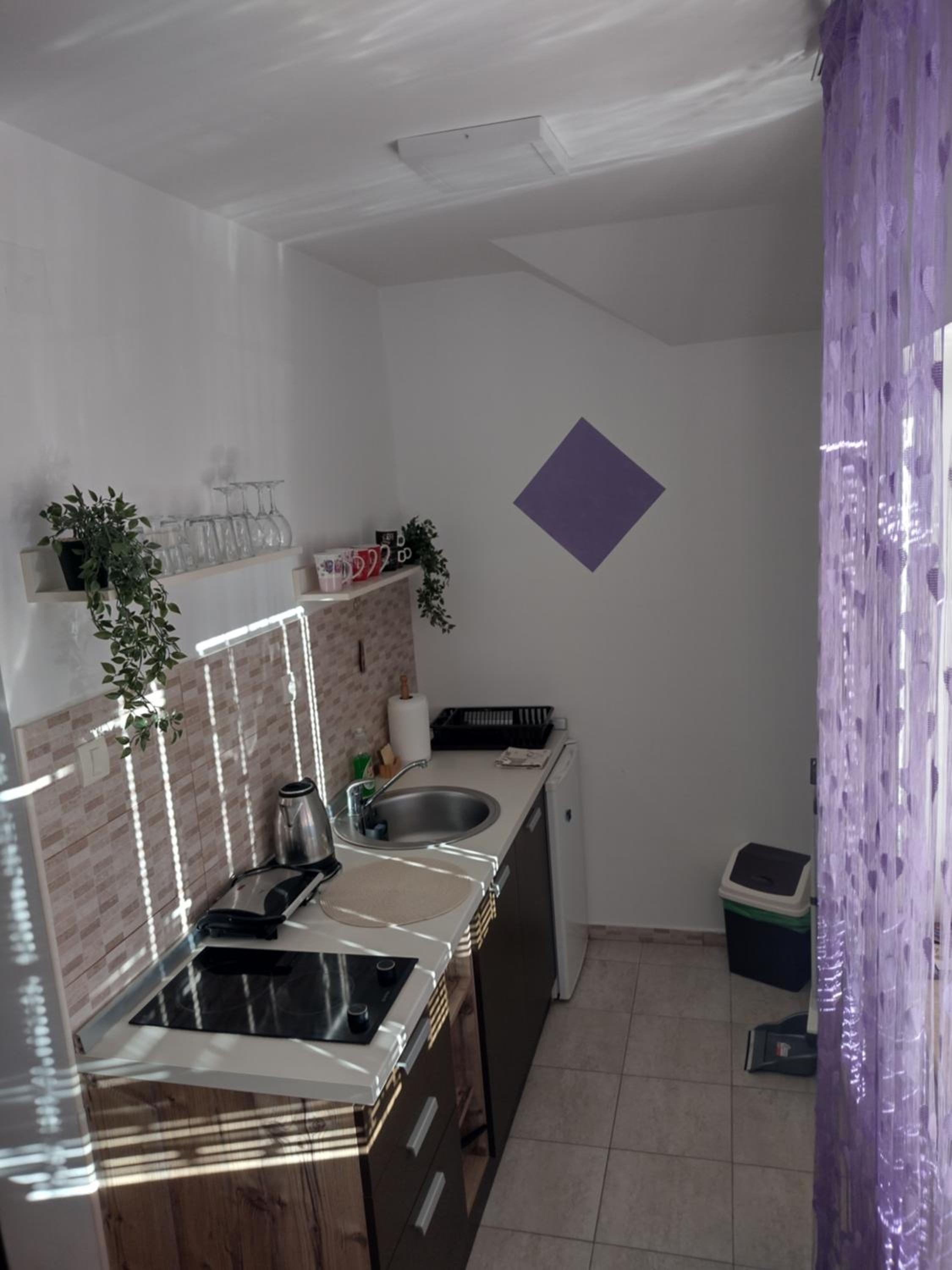 Apartman Aleksandra Zlatibor Zlatiborski Andjeo