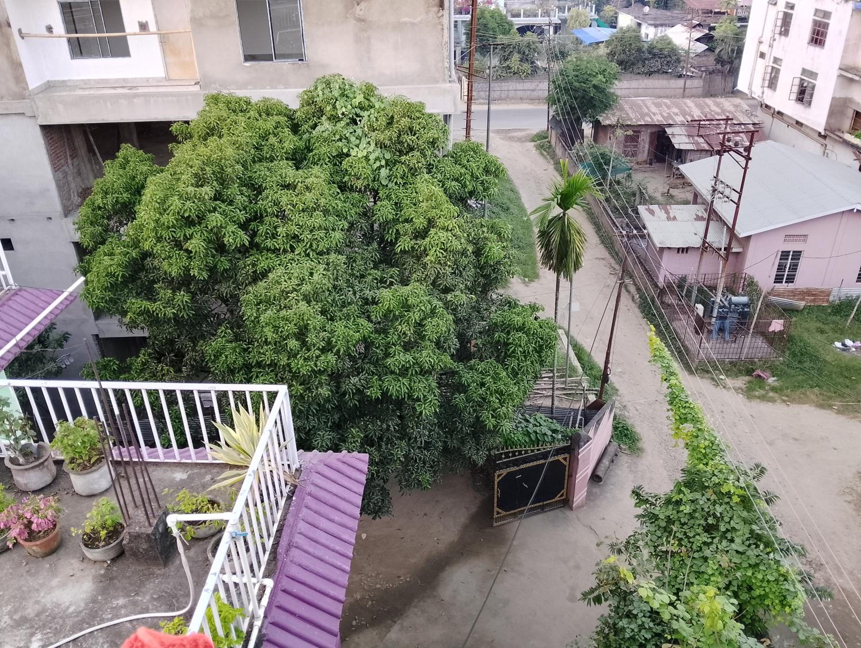 Photo 17