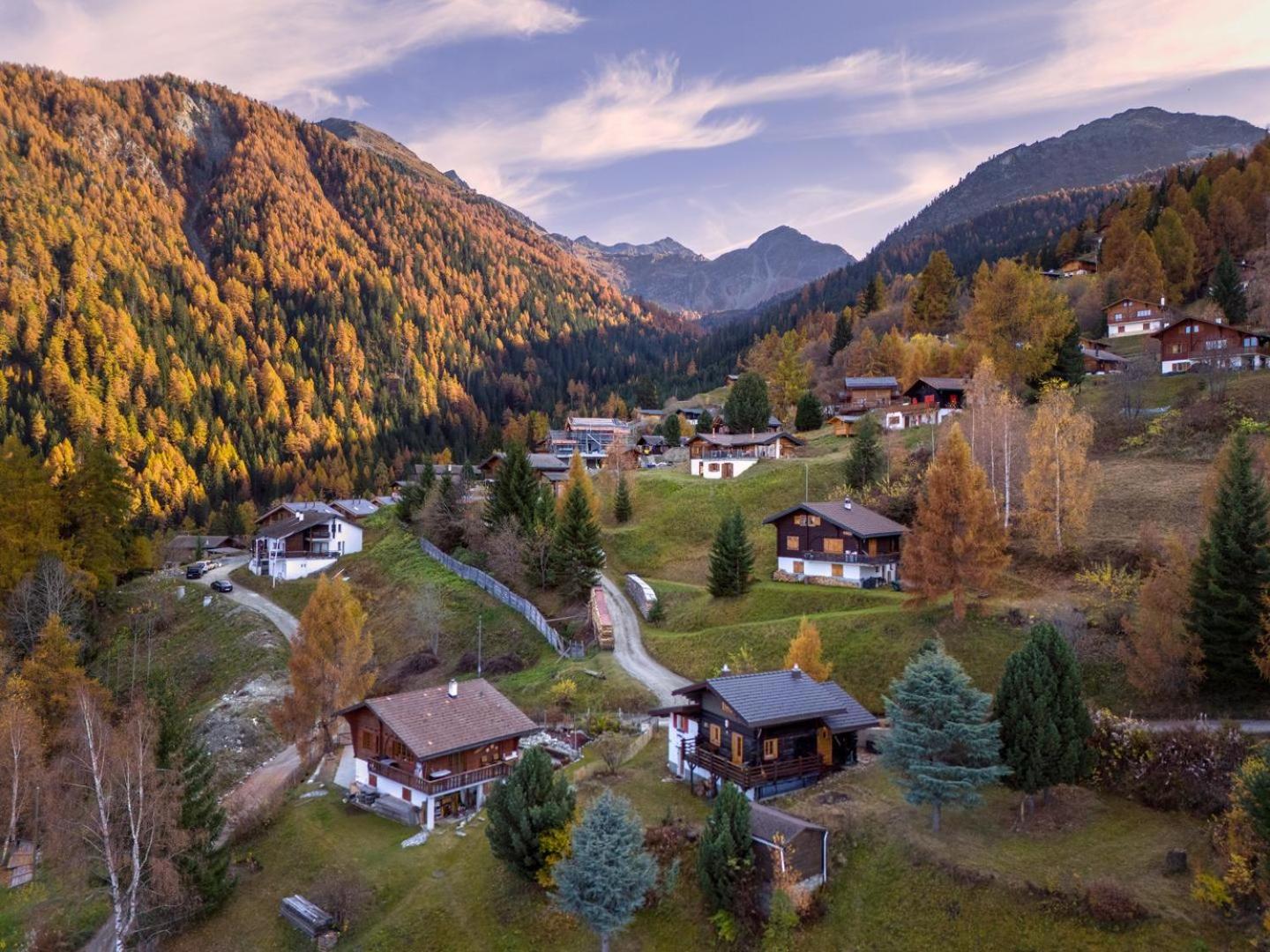 Chalet Les Aragnes Family chalet La Tzoumaz