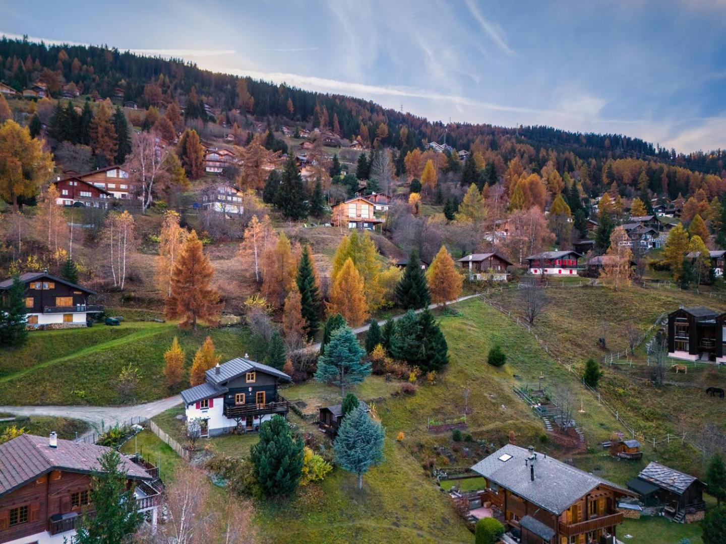 Chalet Les Aragnes Family chalet La Tzoumaz
