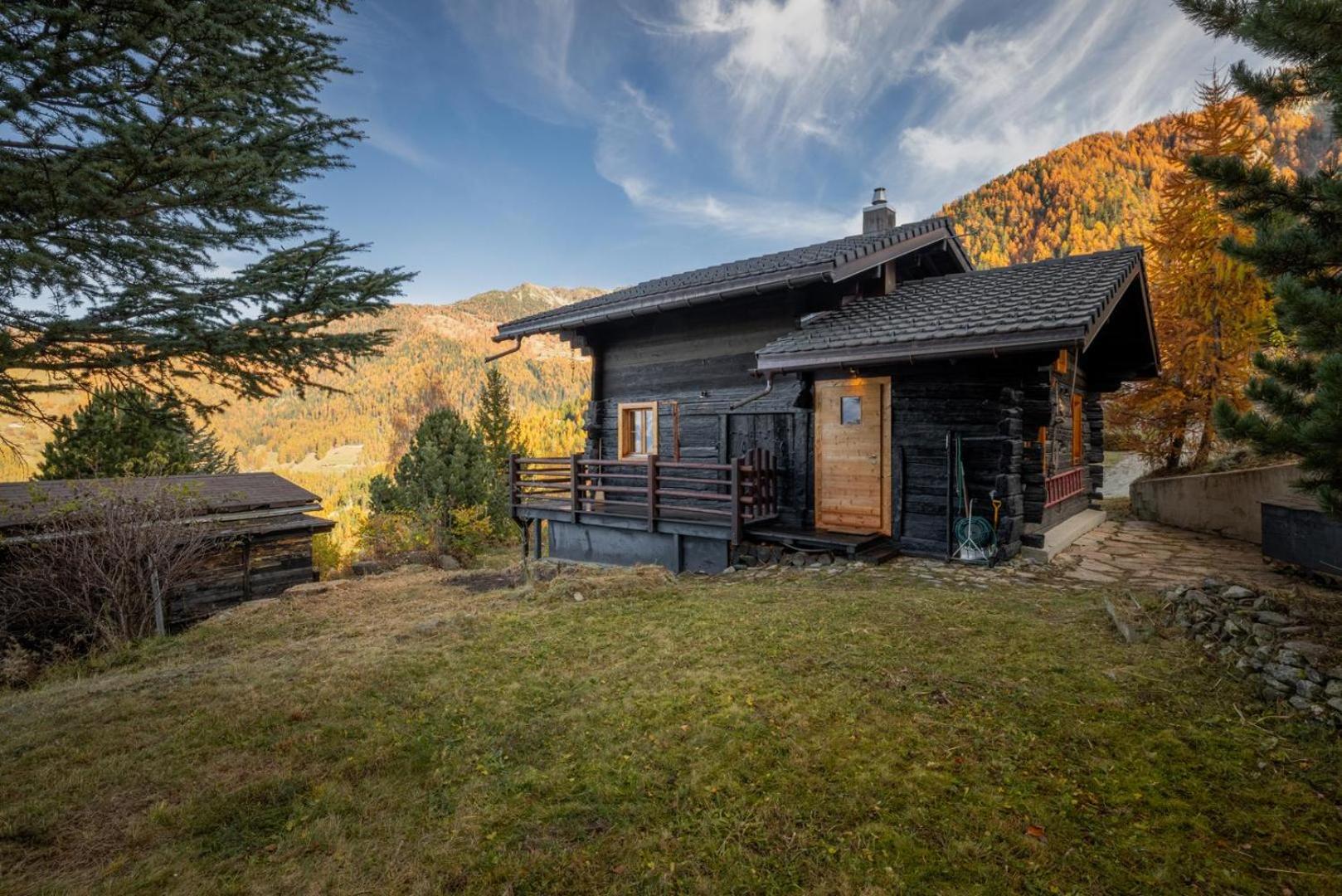 Chalet Les Aragnes Family chalet La Tzoumaz