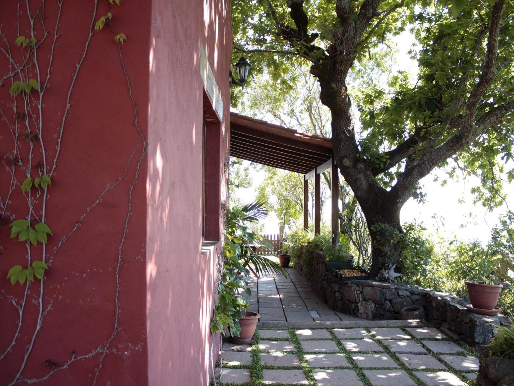 Photo 41