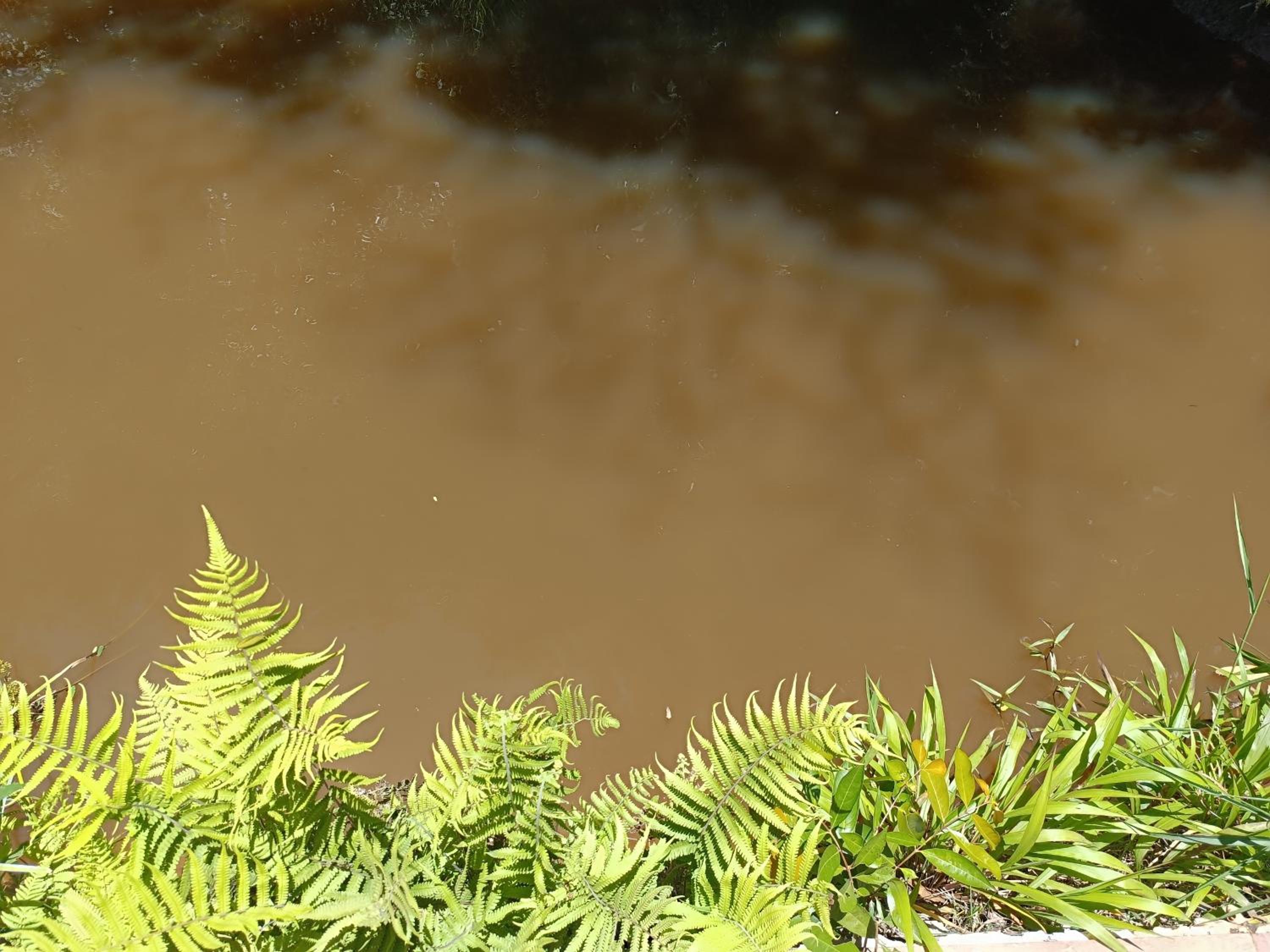 Chácara com Piscina e Natureza Jacareí São José dos Campos Vale do paraíba próximo a São paulo CHÁCARA TALISMÃ