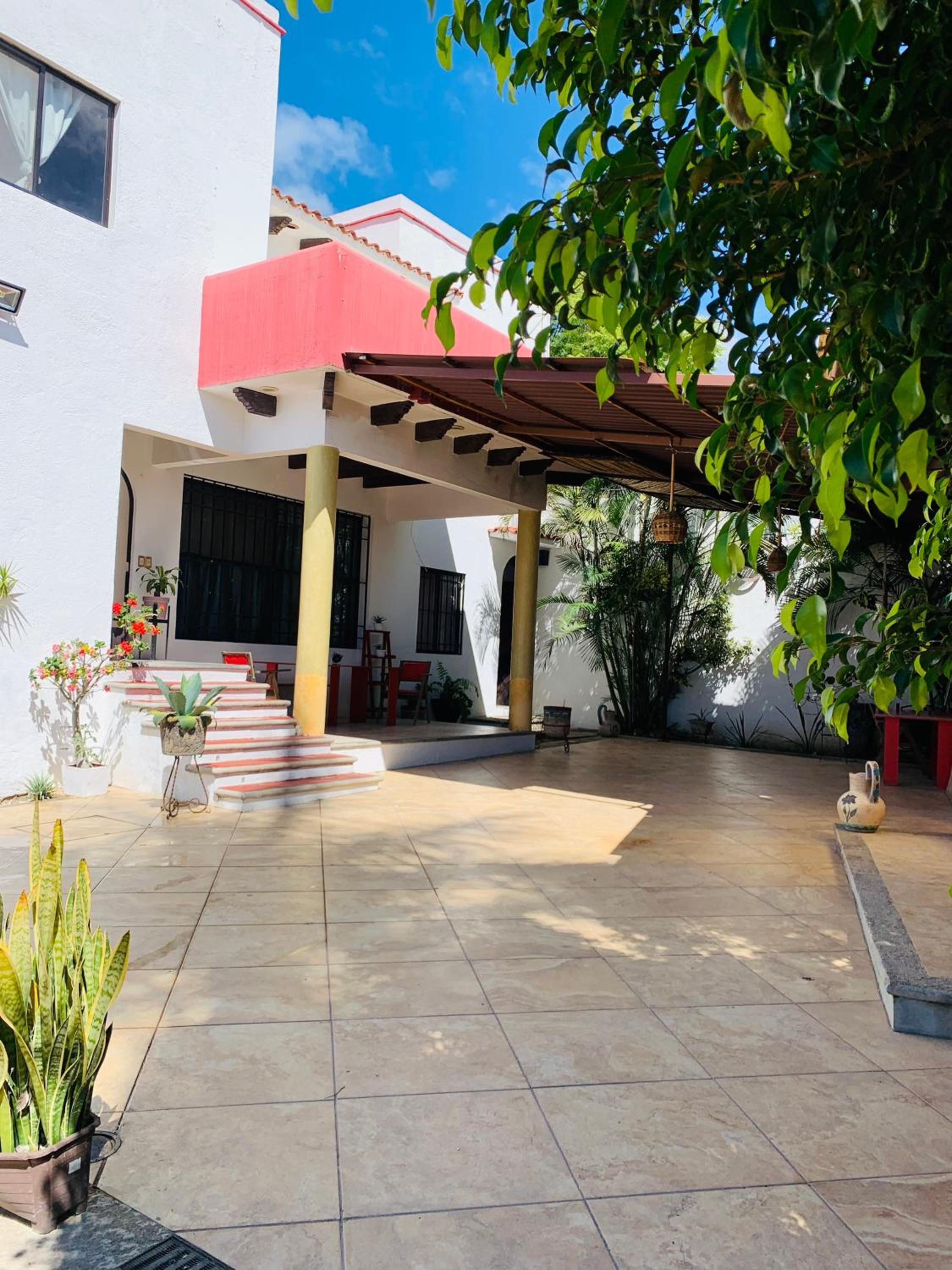 Geranios