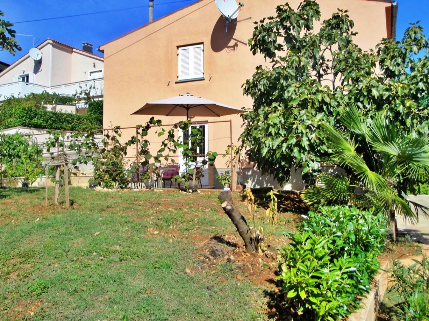 Photo 26