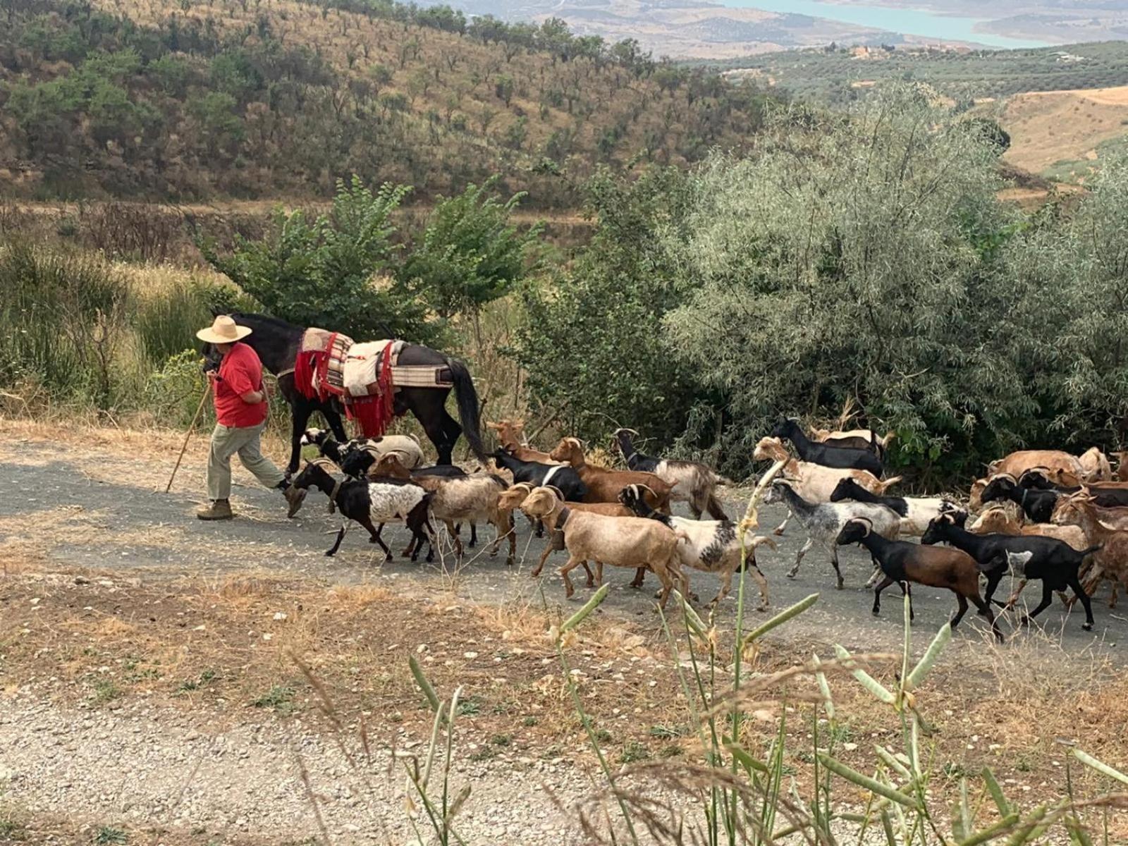 Finca Carrion