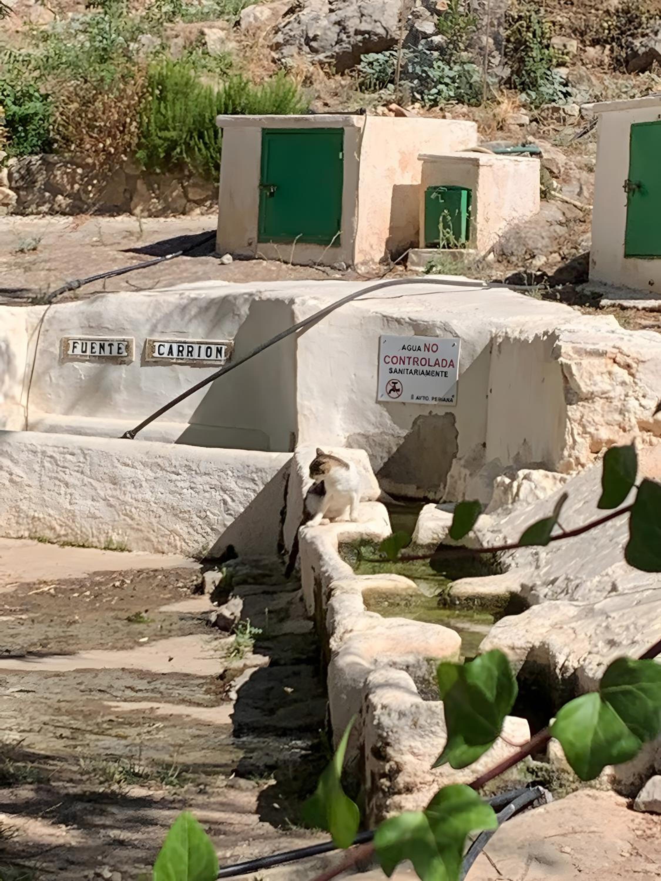 Finca Carrion