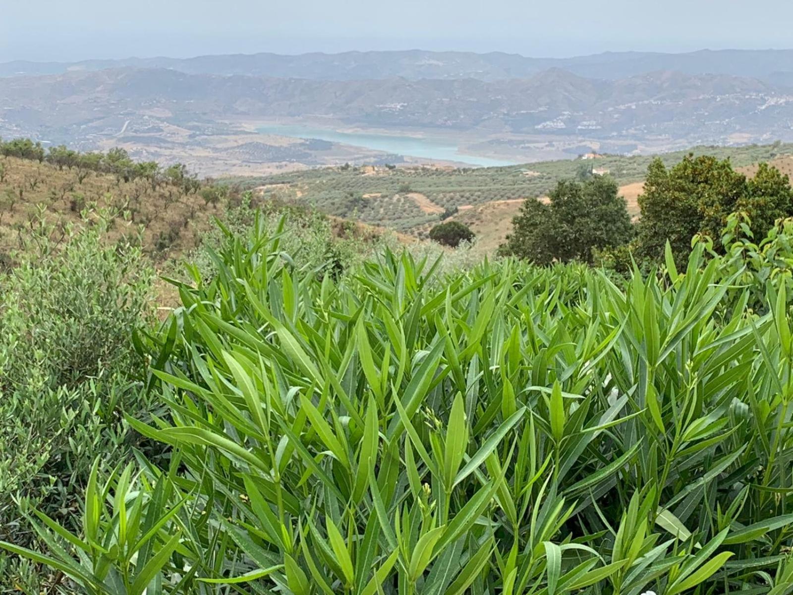 Finca Carrion
