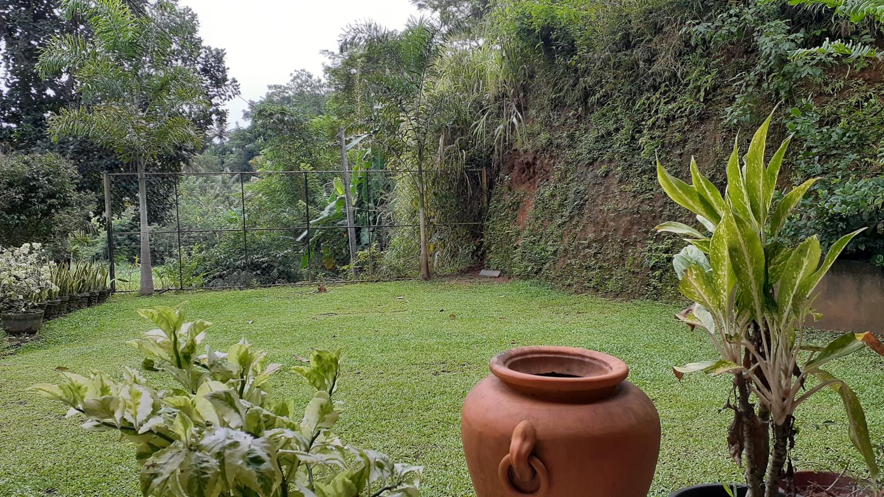 Jithu homestay Mirissa view 4