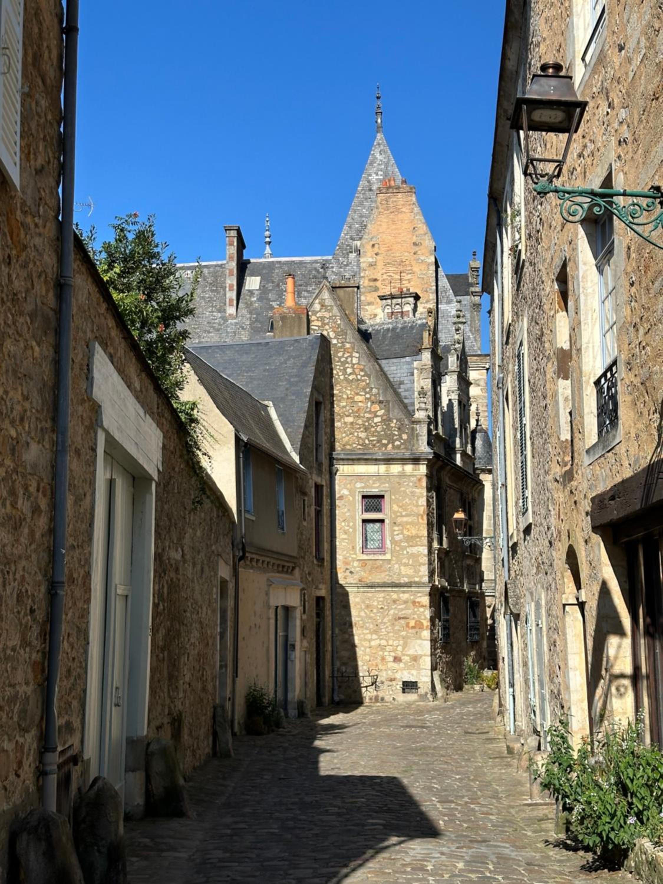 Logis Saint-Flaceau, photo 51