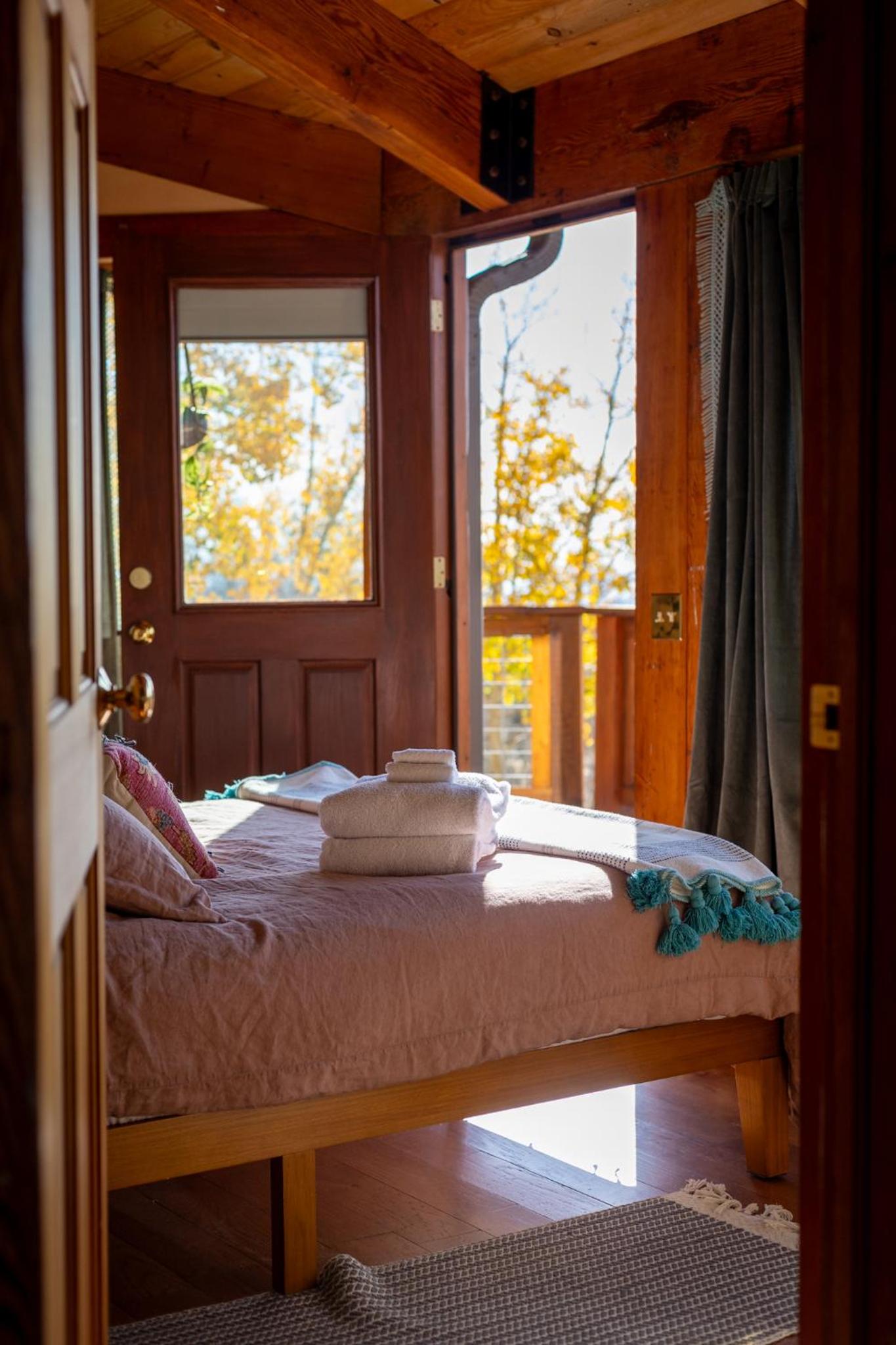 Fairplay Coyote Cabin