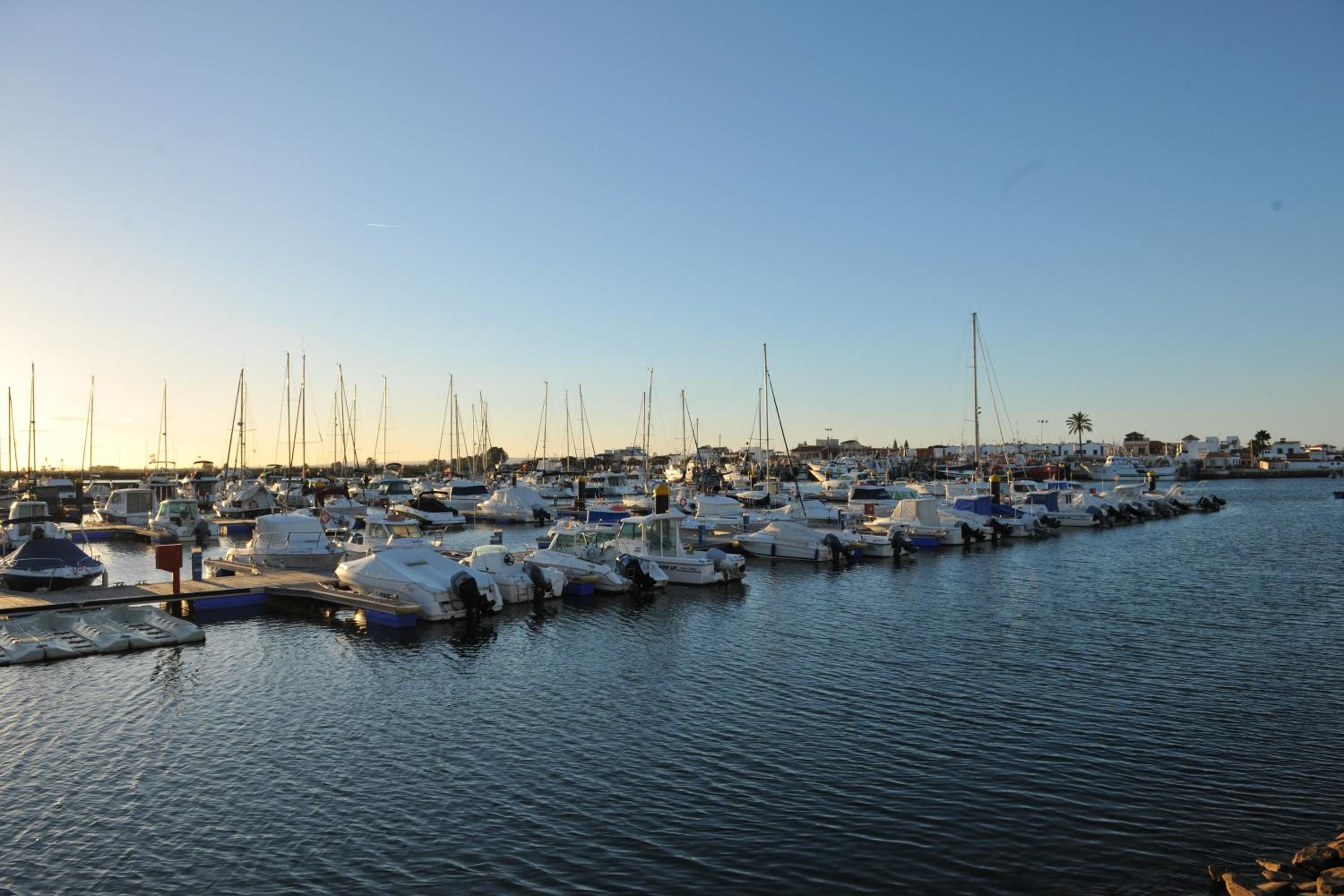 Photo 45