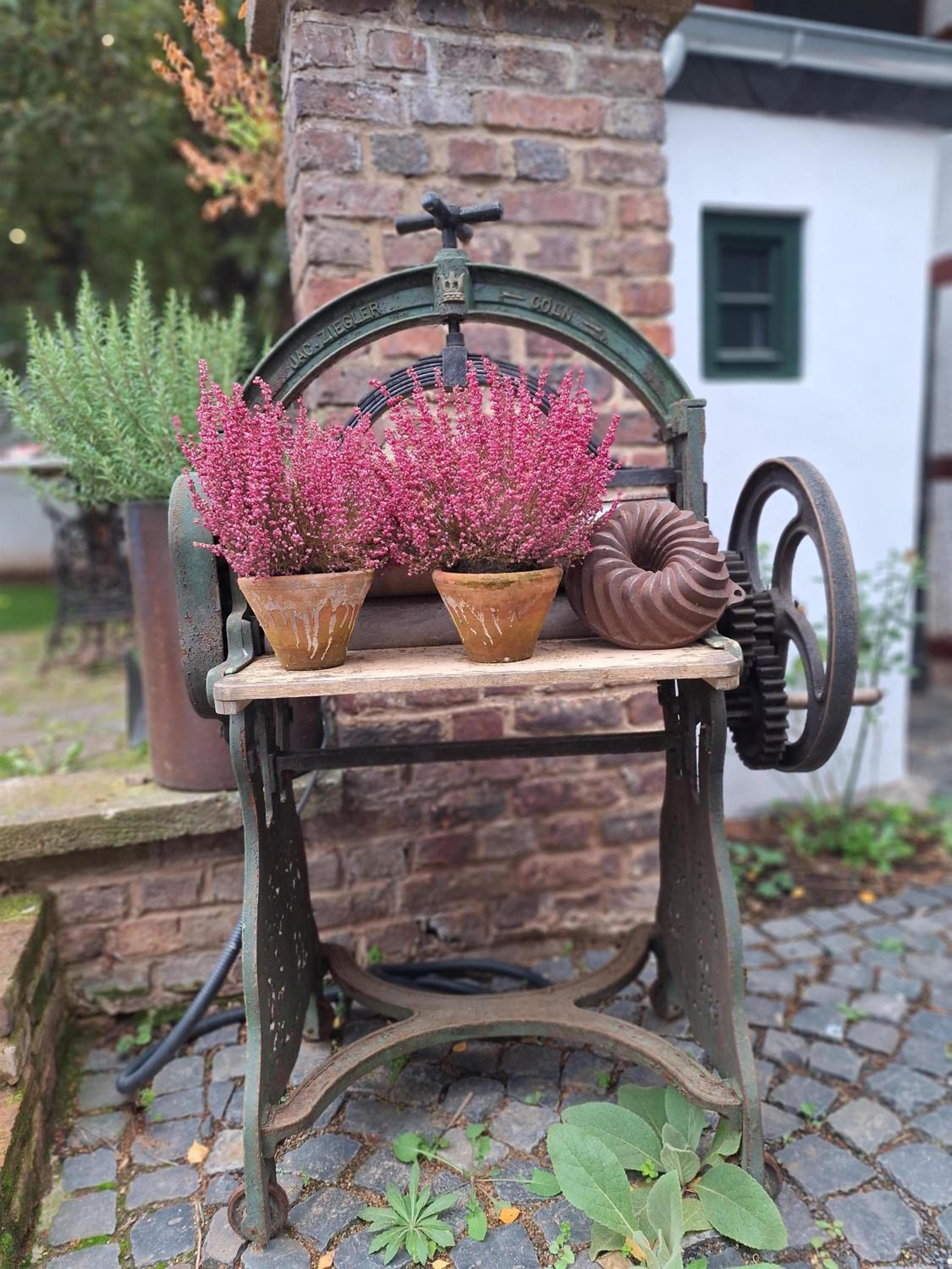Rosige Zeiten, Ferien im Fachwerkhof