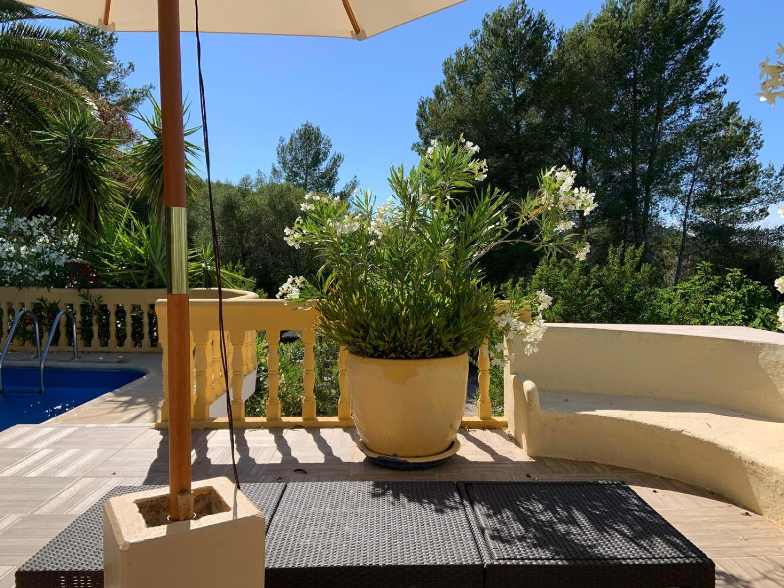 Finca Mianes