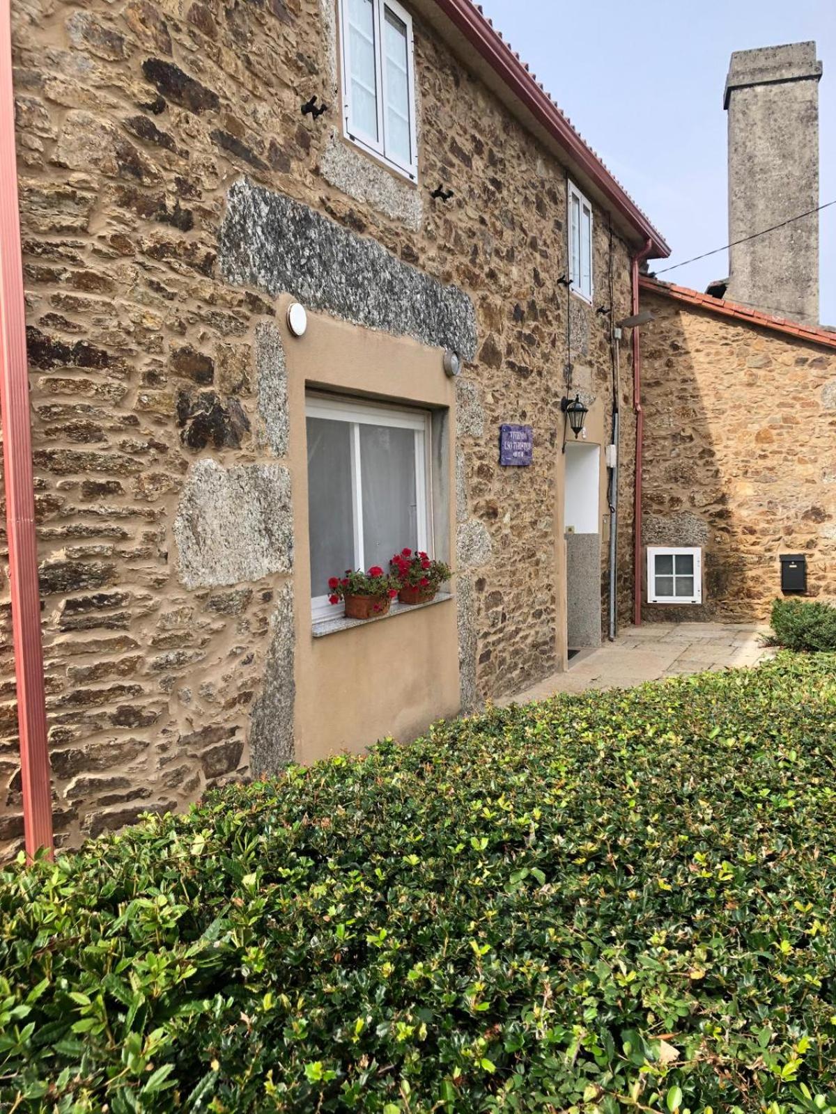 VUT Boente 2 view 2