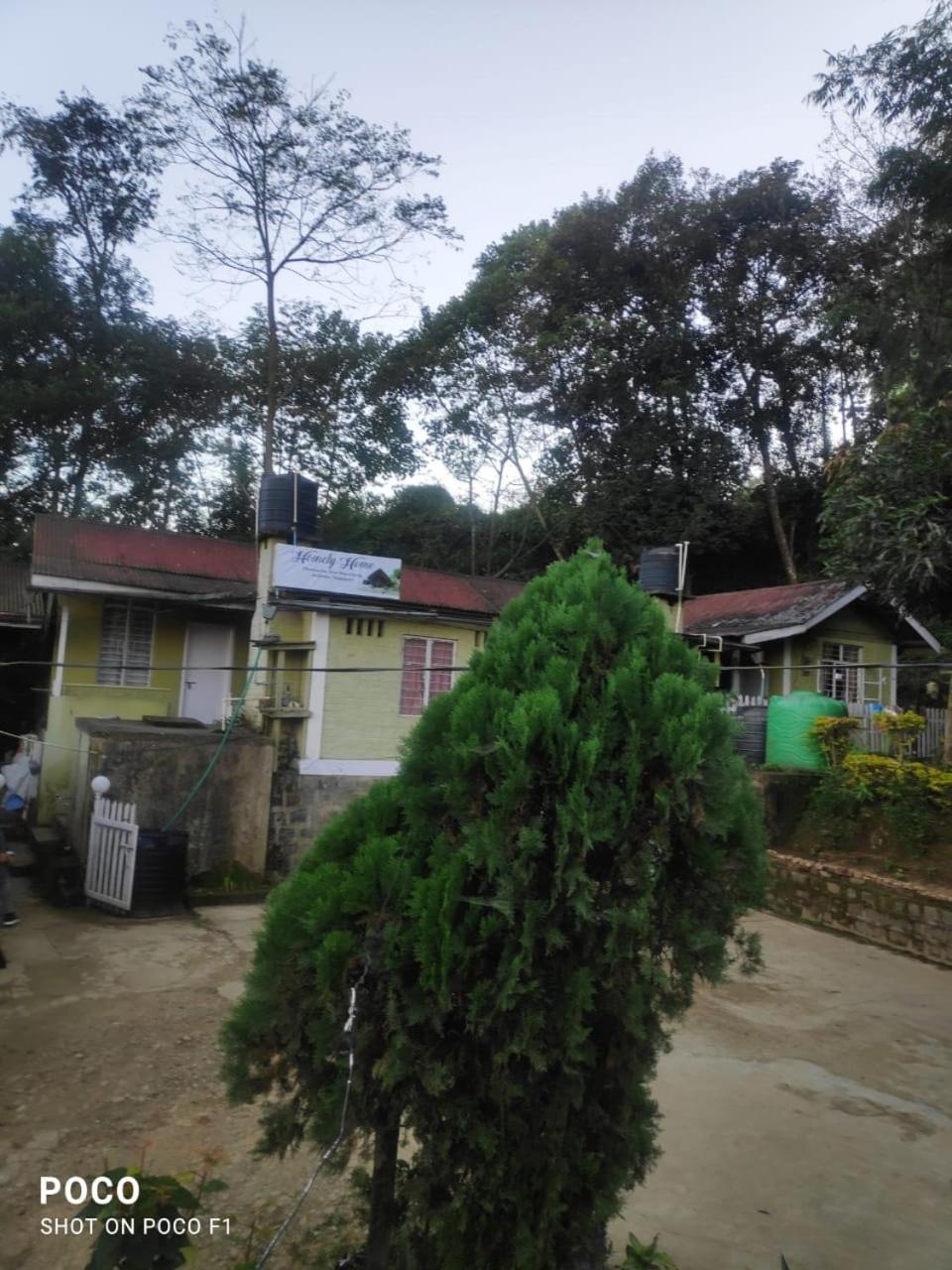 Homely Home view 4