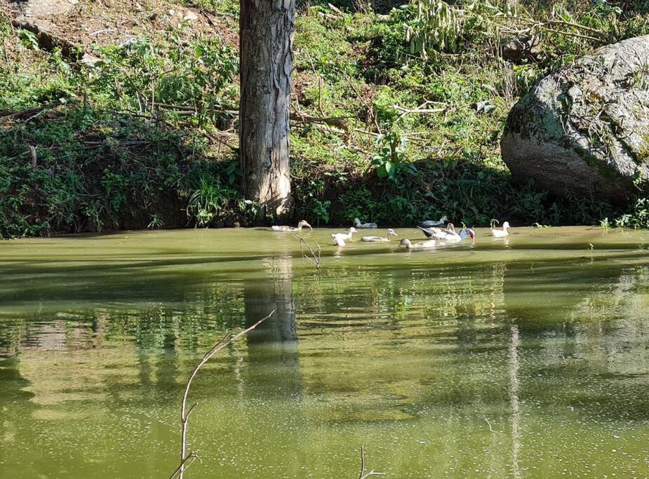 Chácara Sul de MG - Pedralva