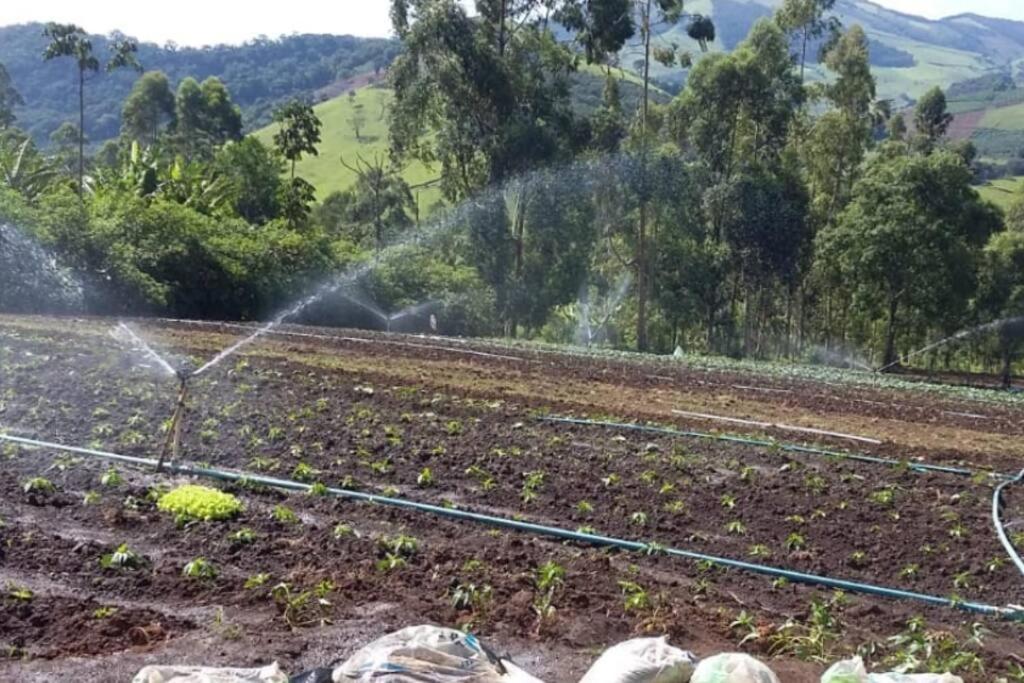 Chácara Sul de MG - Pedralva