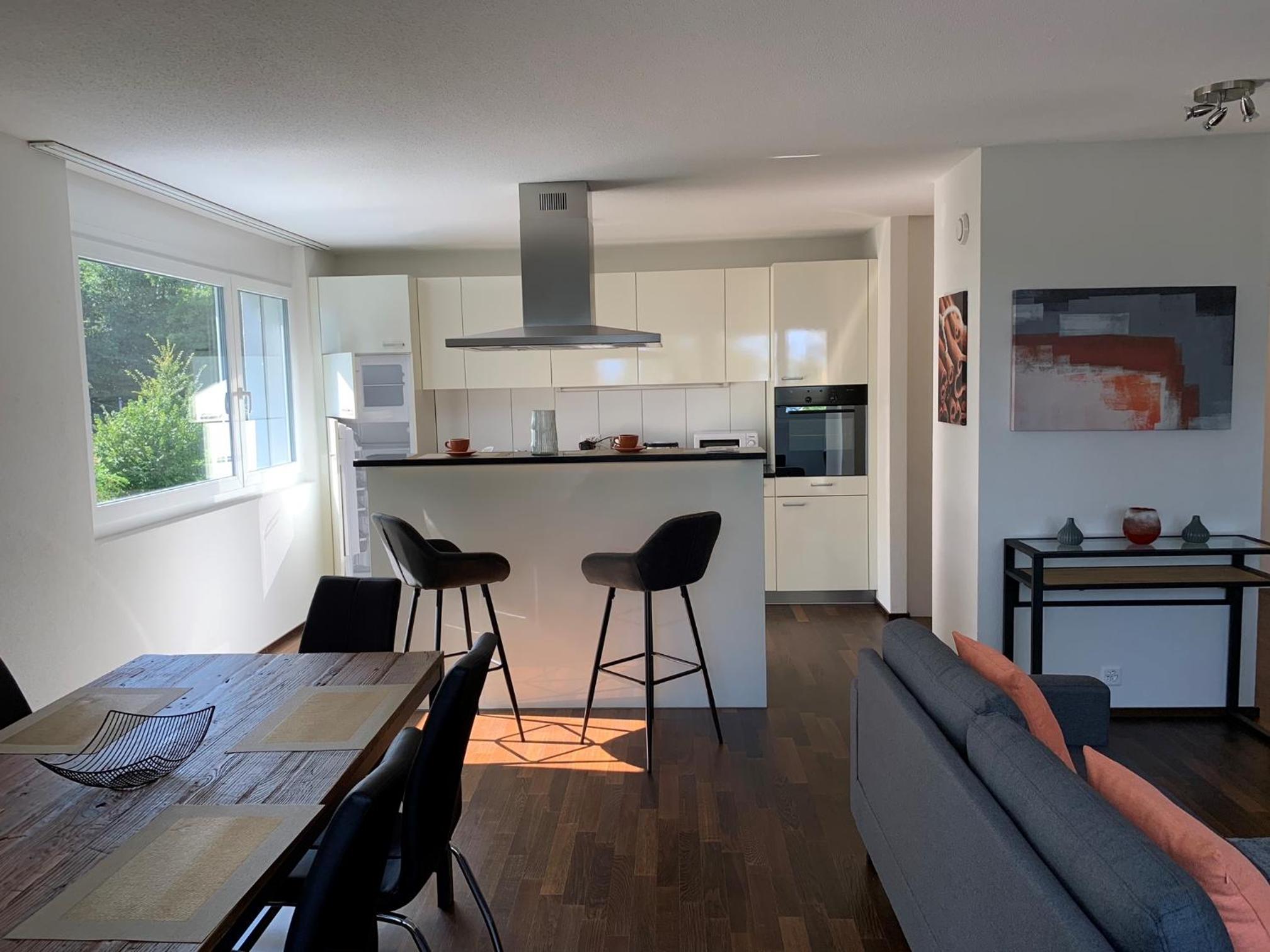 Lausanne City Center Apartments, Minutes Away from the Lake! AM53