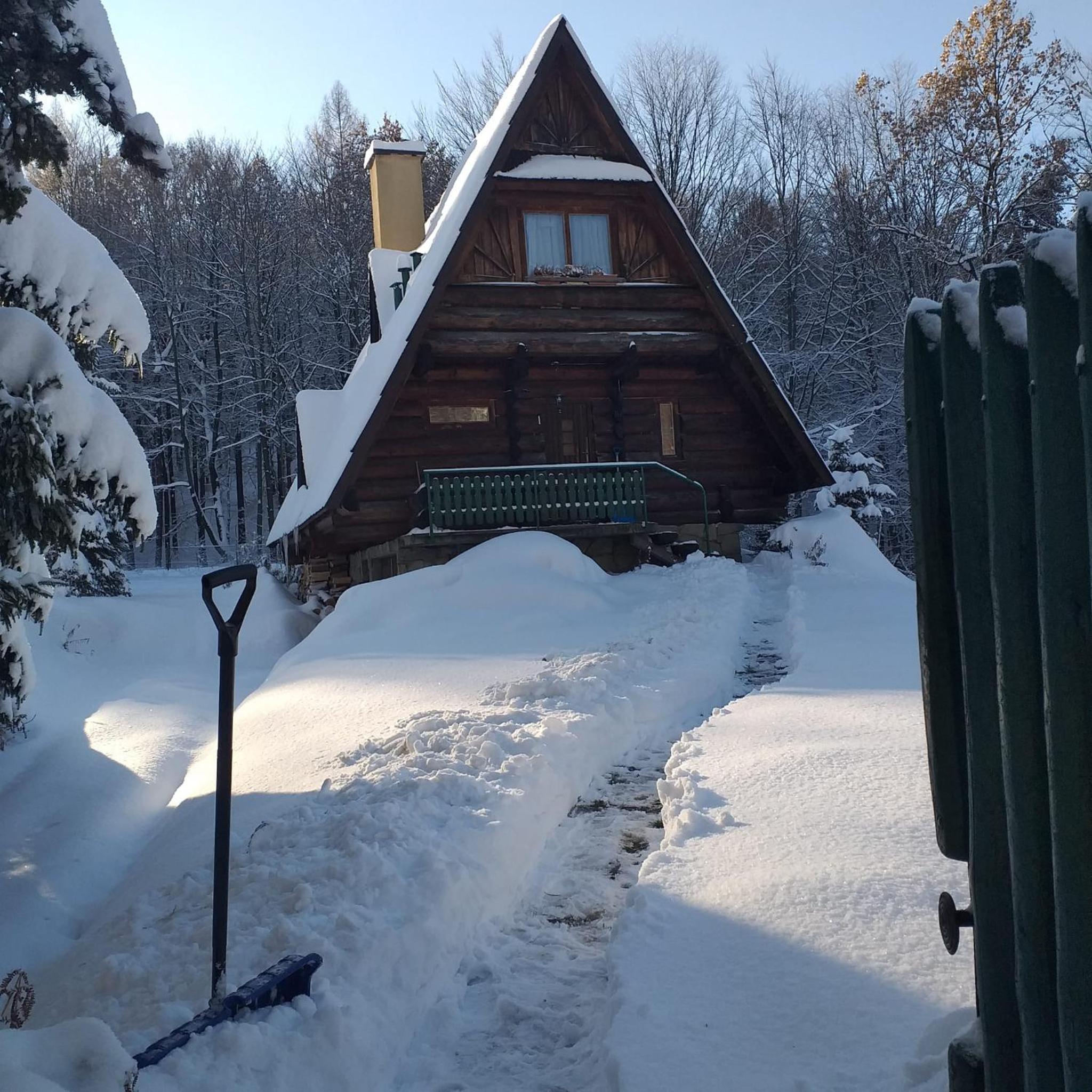 Kosarzówka, photo 26