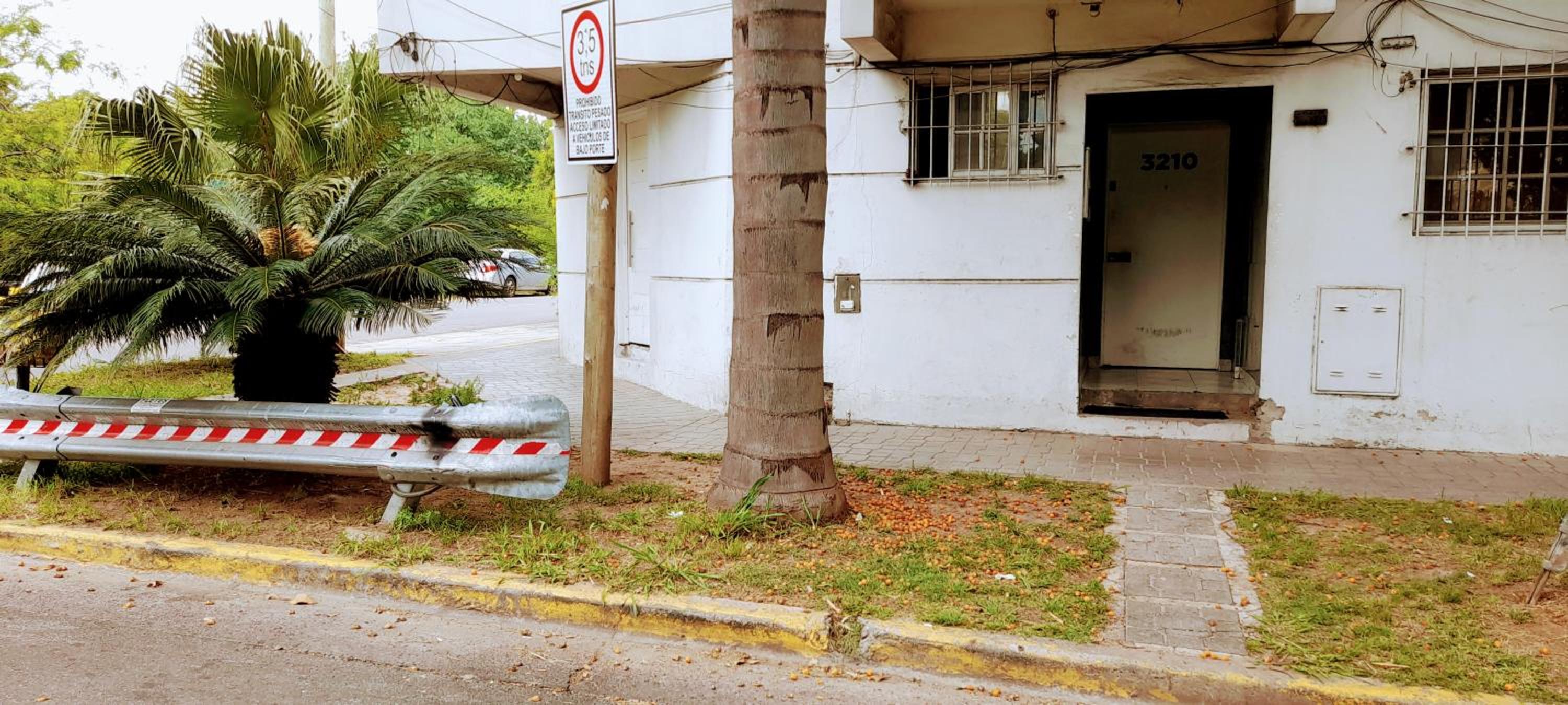palmeras swett home