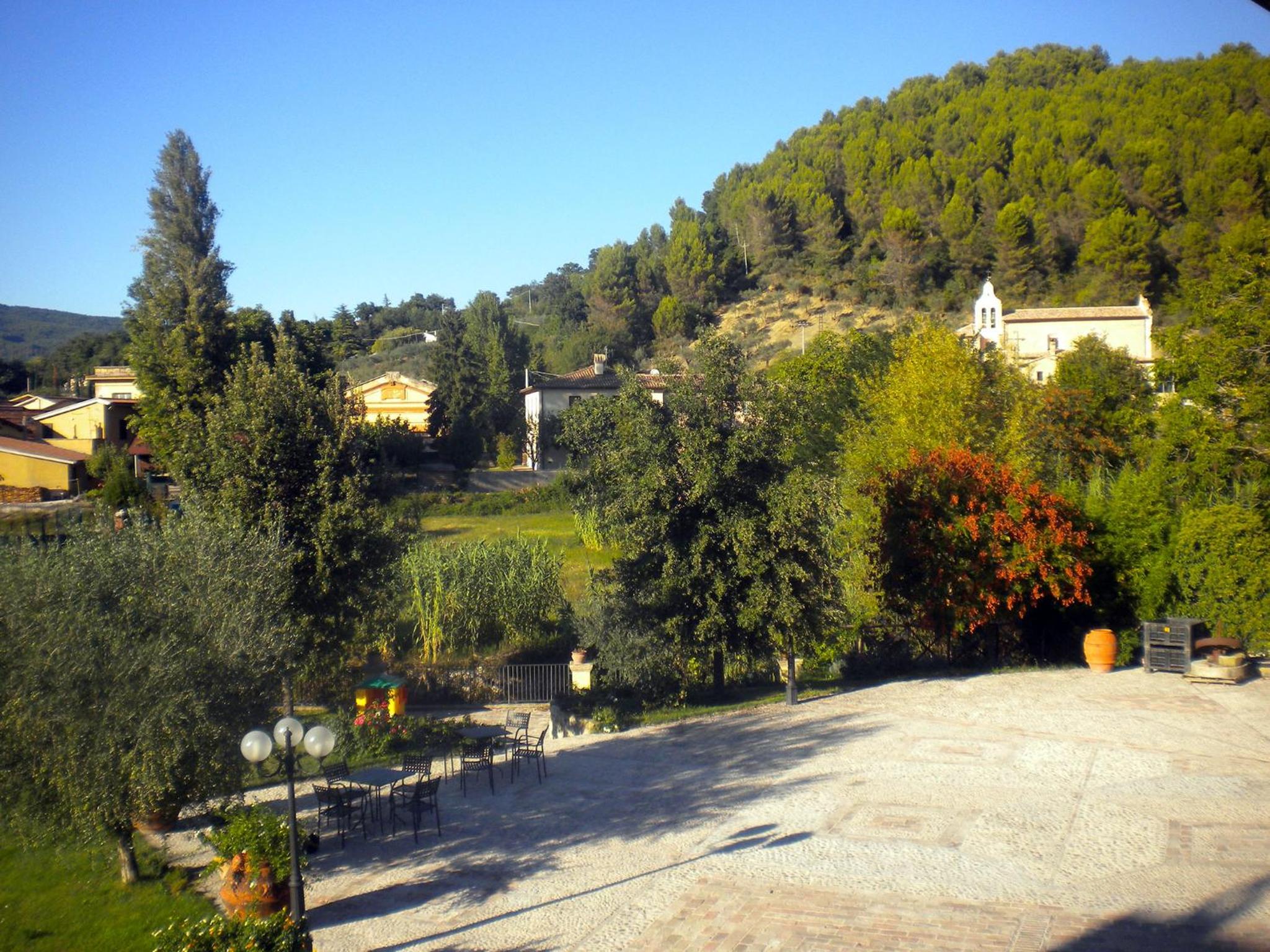 Photo 19