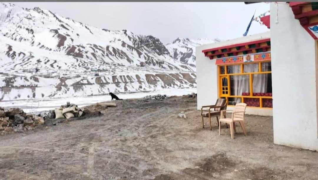 starlight spiti homestay&cafe
