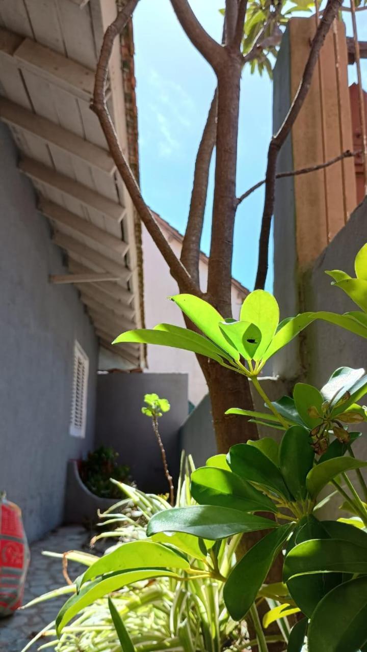 Casita del Centro