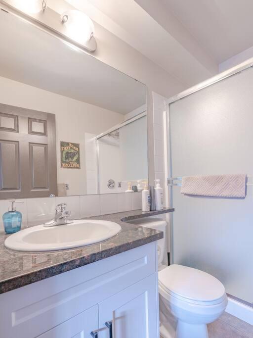 Mystic Springs Chalets - pool, hot tub, AC