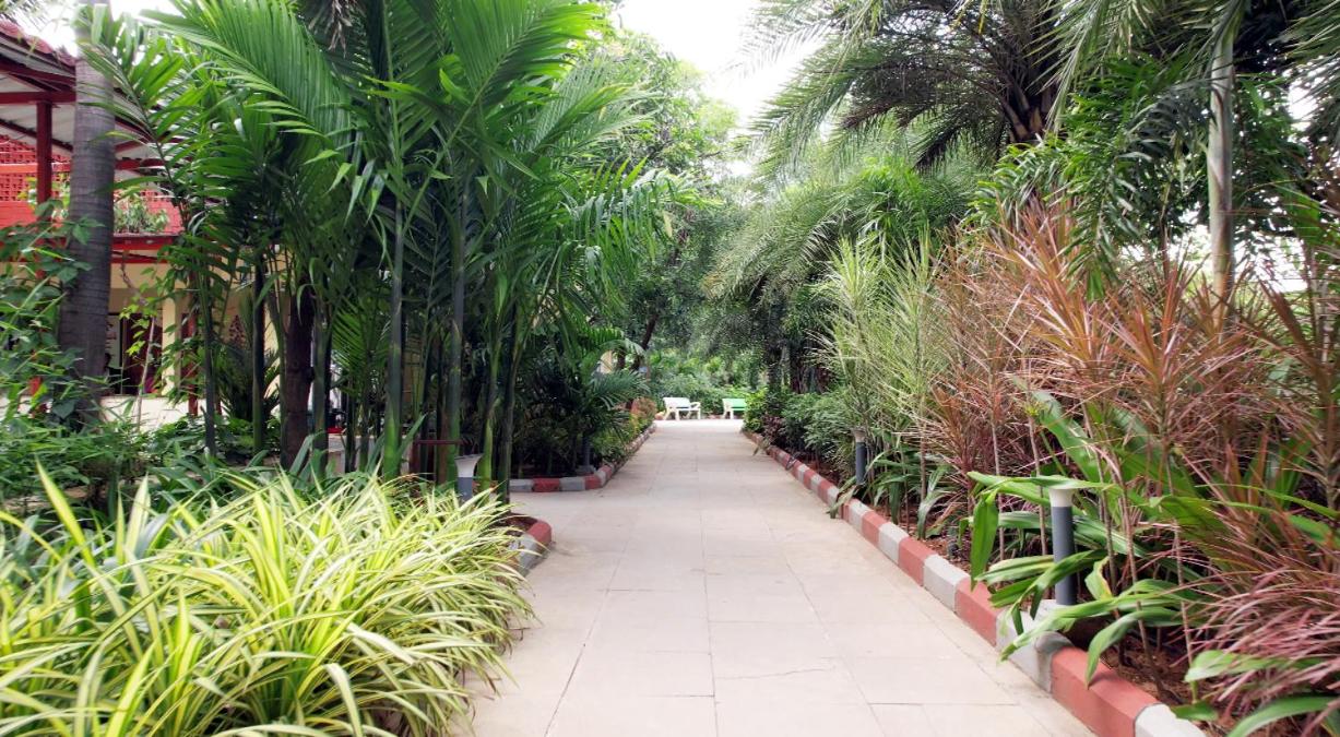 Photo 41