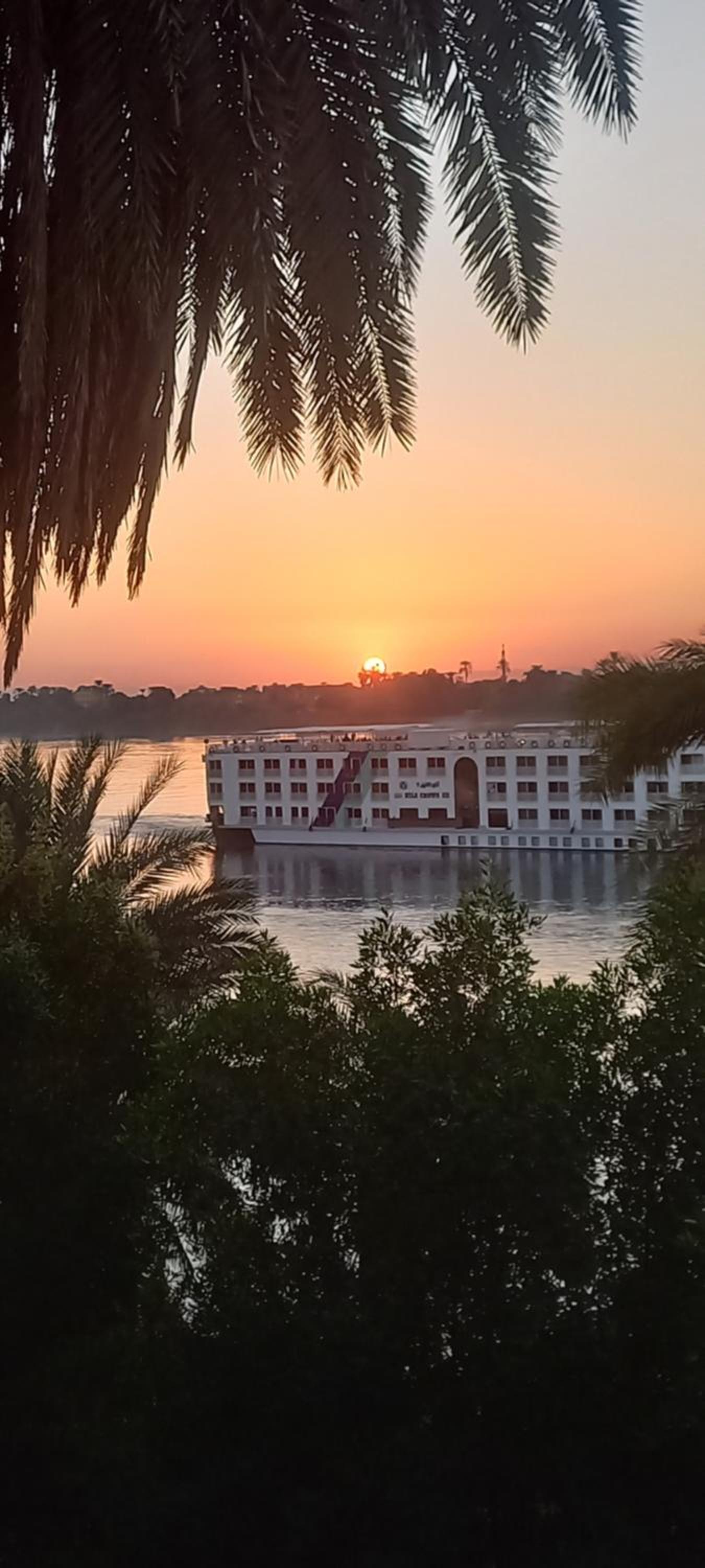 Villa Rose-Luxor photo 4